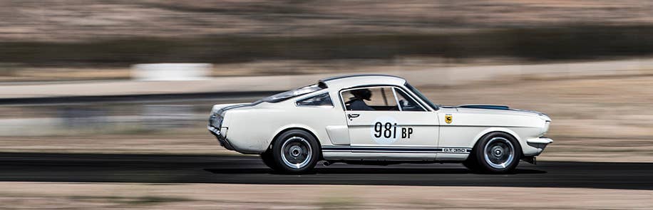 Original Venice Crew Shelby GT350R