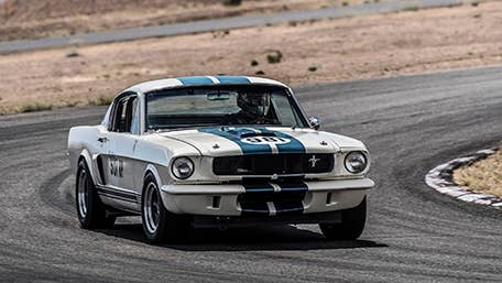 Original Venice Crew Shelby GT350R