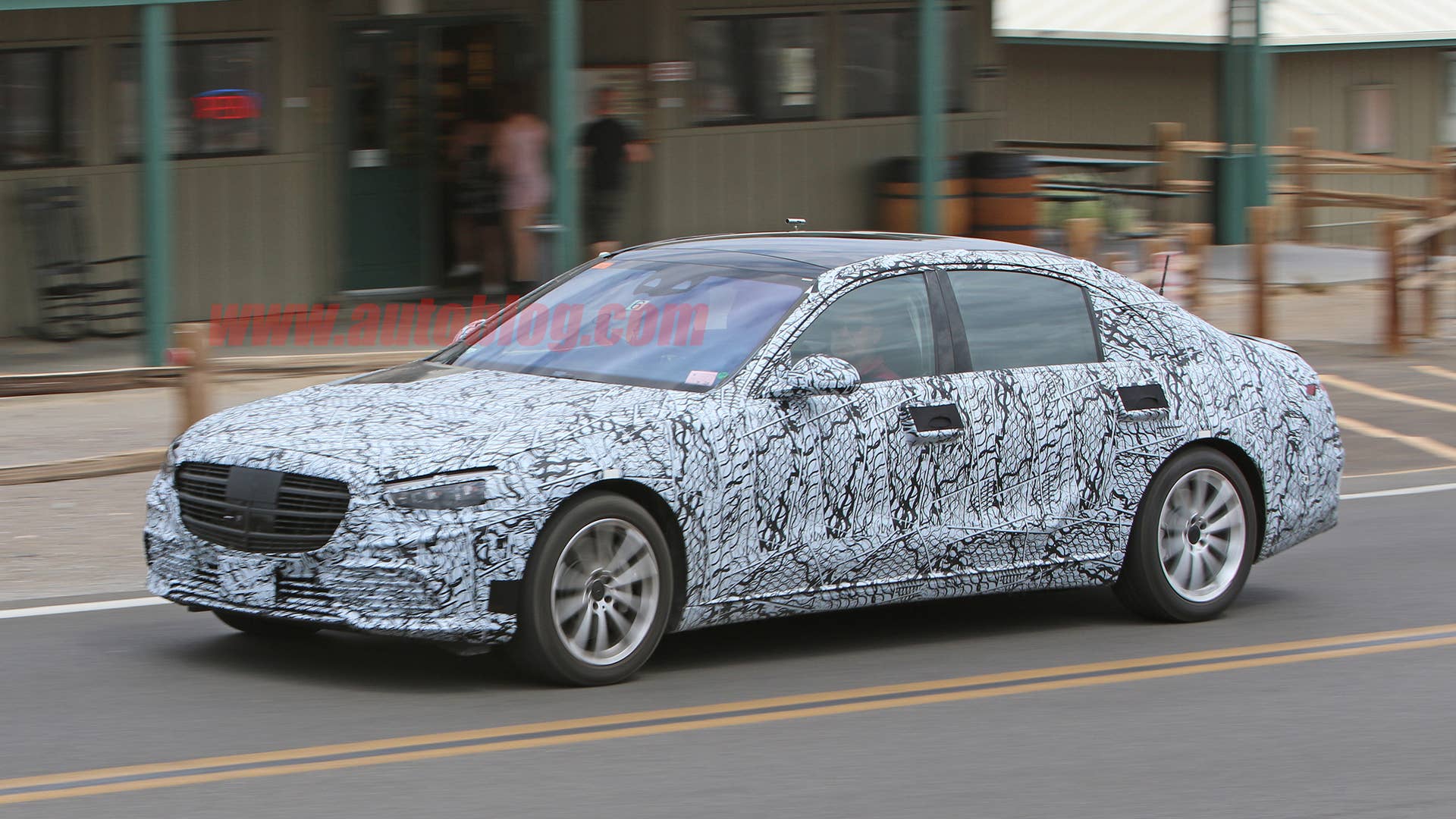 Mercedes-Benz S-Class in camouflage