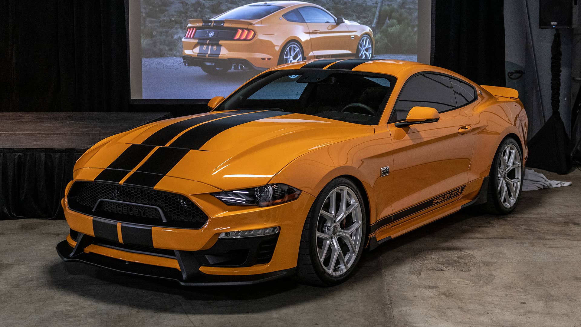 2019 Shelby GT-S Rental Car
