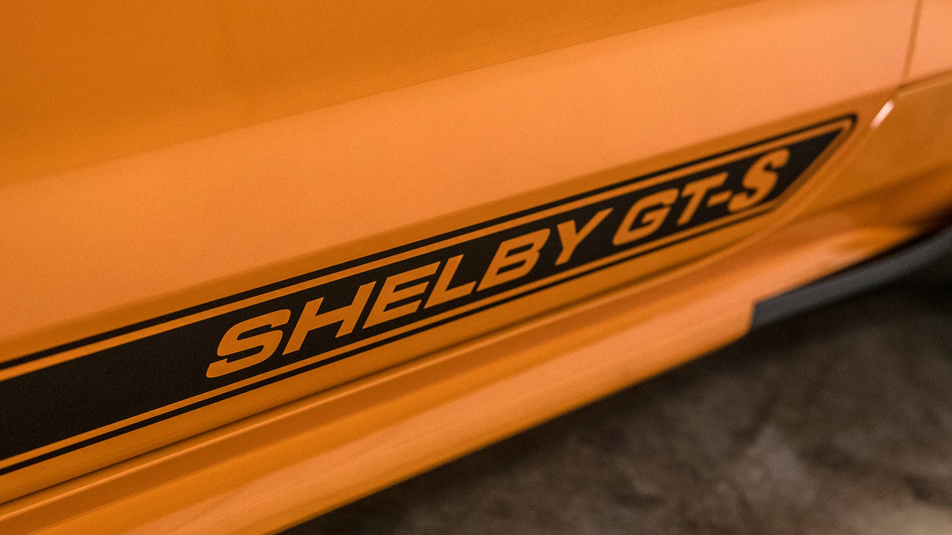2019 Shelby GT-S Rental Car