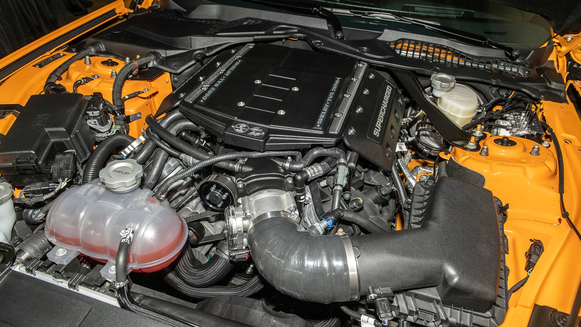2019 Shelby GT-S Rental Car