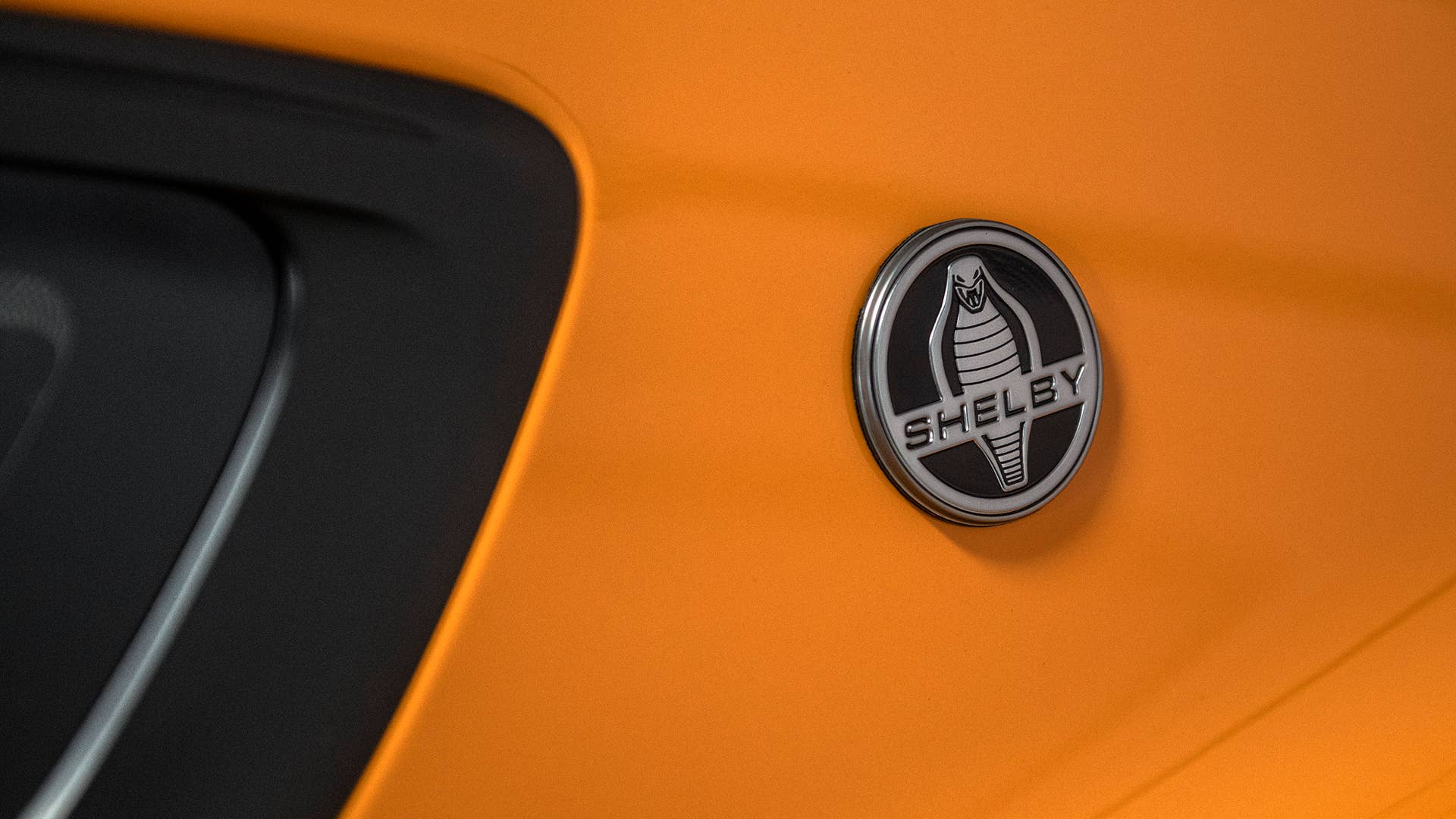 2019 Shelby GT-S Rental Car