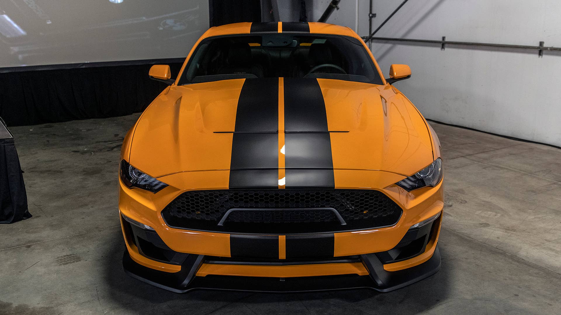 2019 Shelby GT-S Rental Car