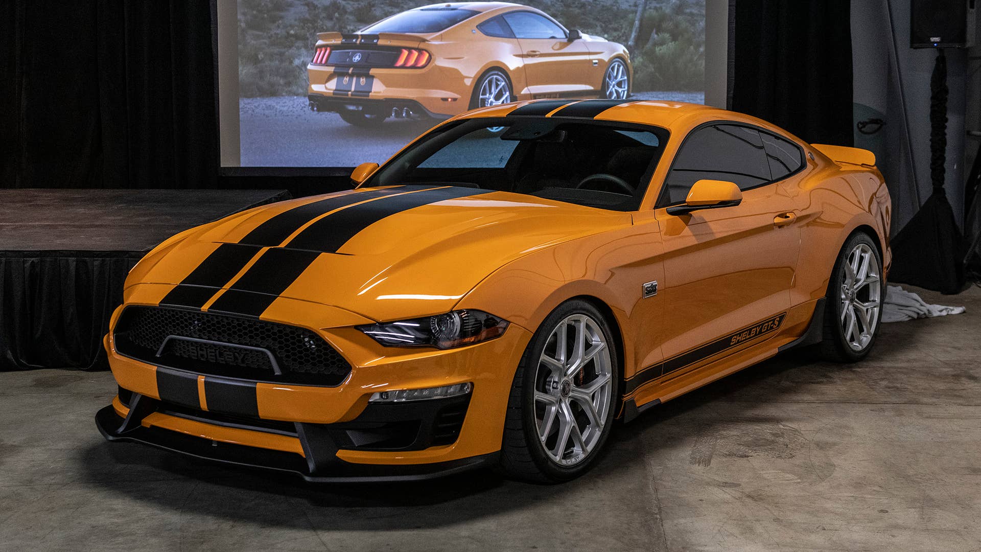 2019 Shelby GT-S Rental Car