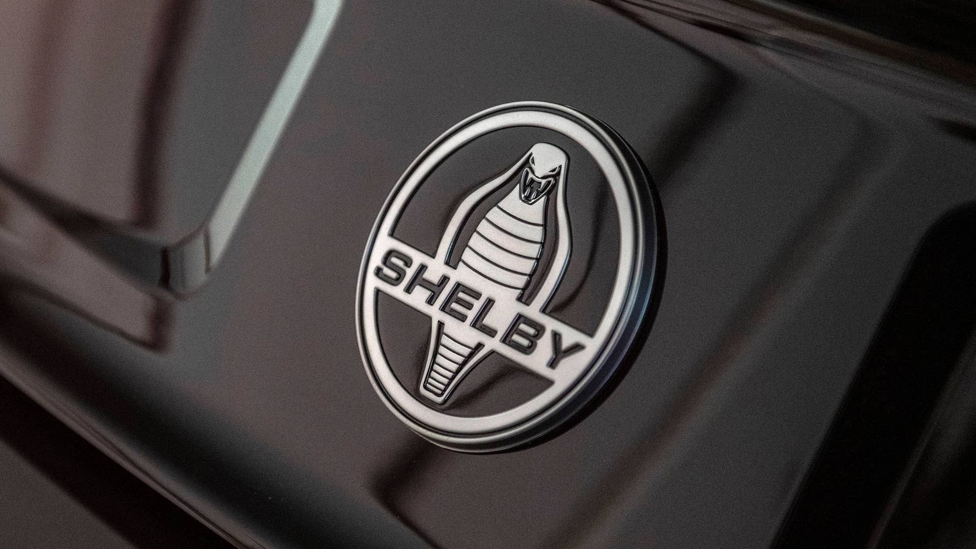 2019 Shelby GT-S Rental Car