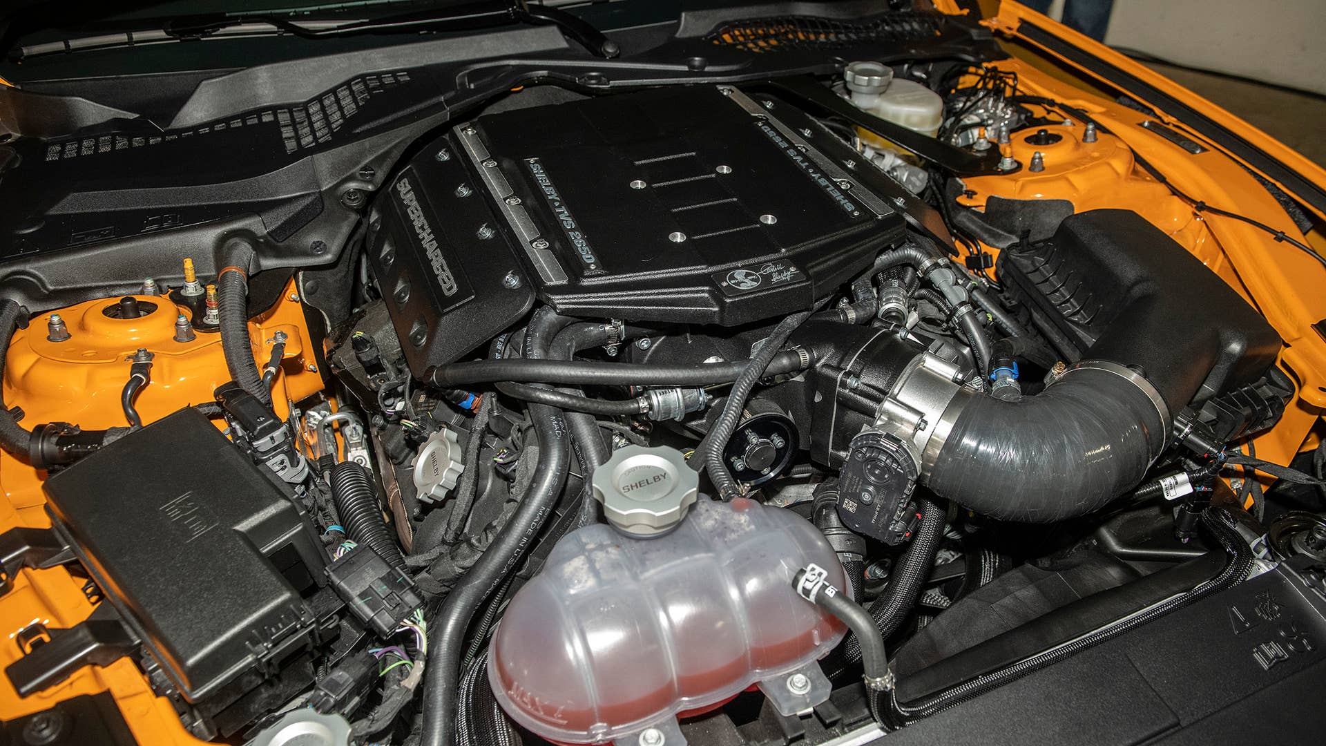 2019 Shelby GT-S Rental Car