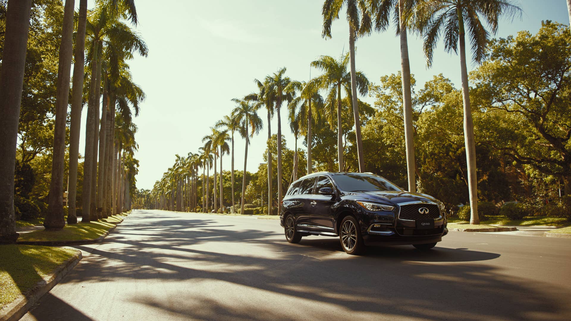2019 Infiniti QX60