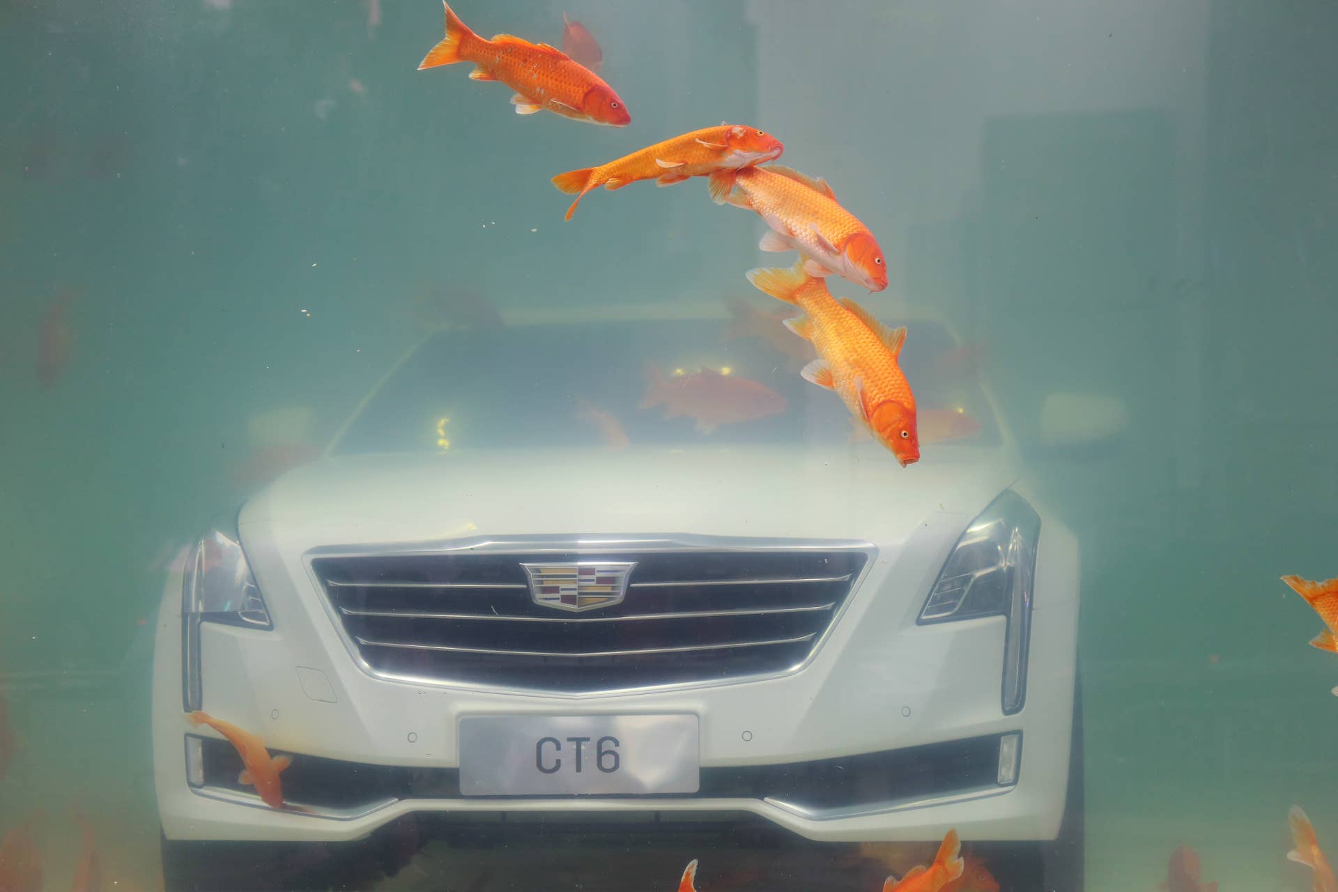 GUANGZHOU, CHINA - MARCH 21: (CHINA OUT) A Cadillac CT6 luxury car is immersed into a fish tank where carps swim around at Victoria Square in Tianhe District on March 21, 2016 in Guangzhou, China. The car brand claims it to be an installation art which has exhibited in Shanghai for two weeks last month. (Photo by VCG/VCG via Getty Images)