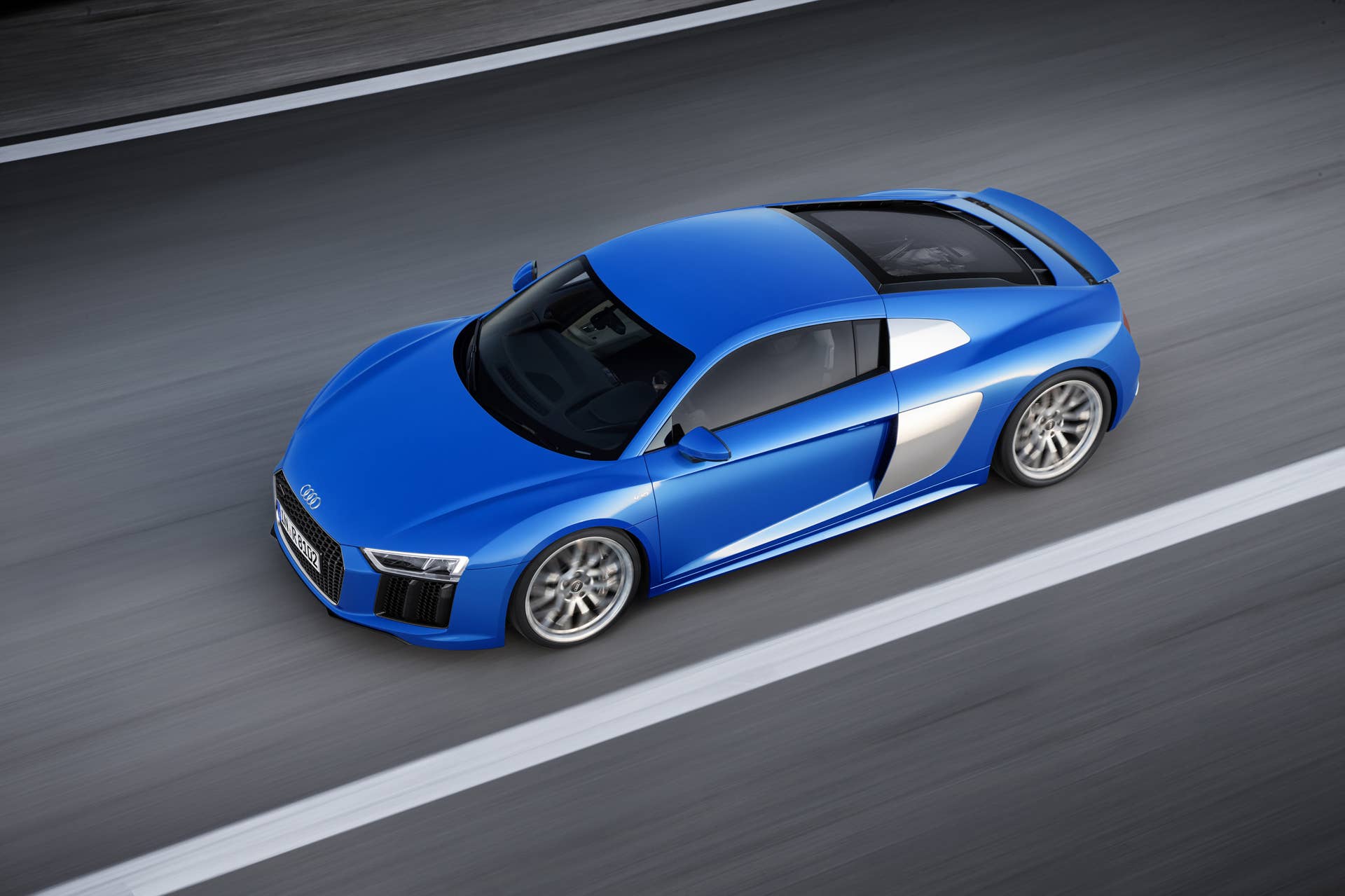 Dynamic photo Colour: Ara Blue