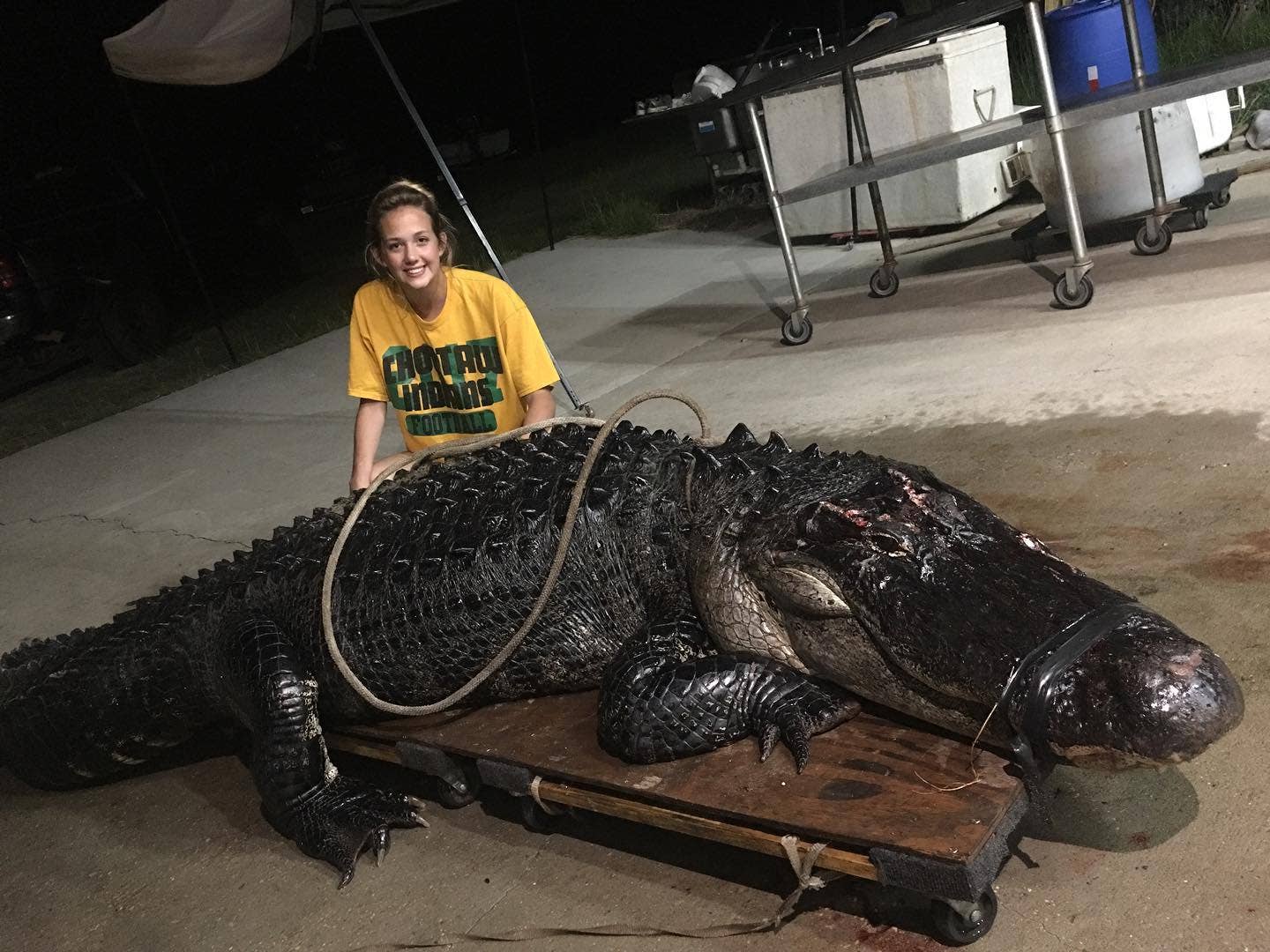 Struck by a semi truck in Florida