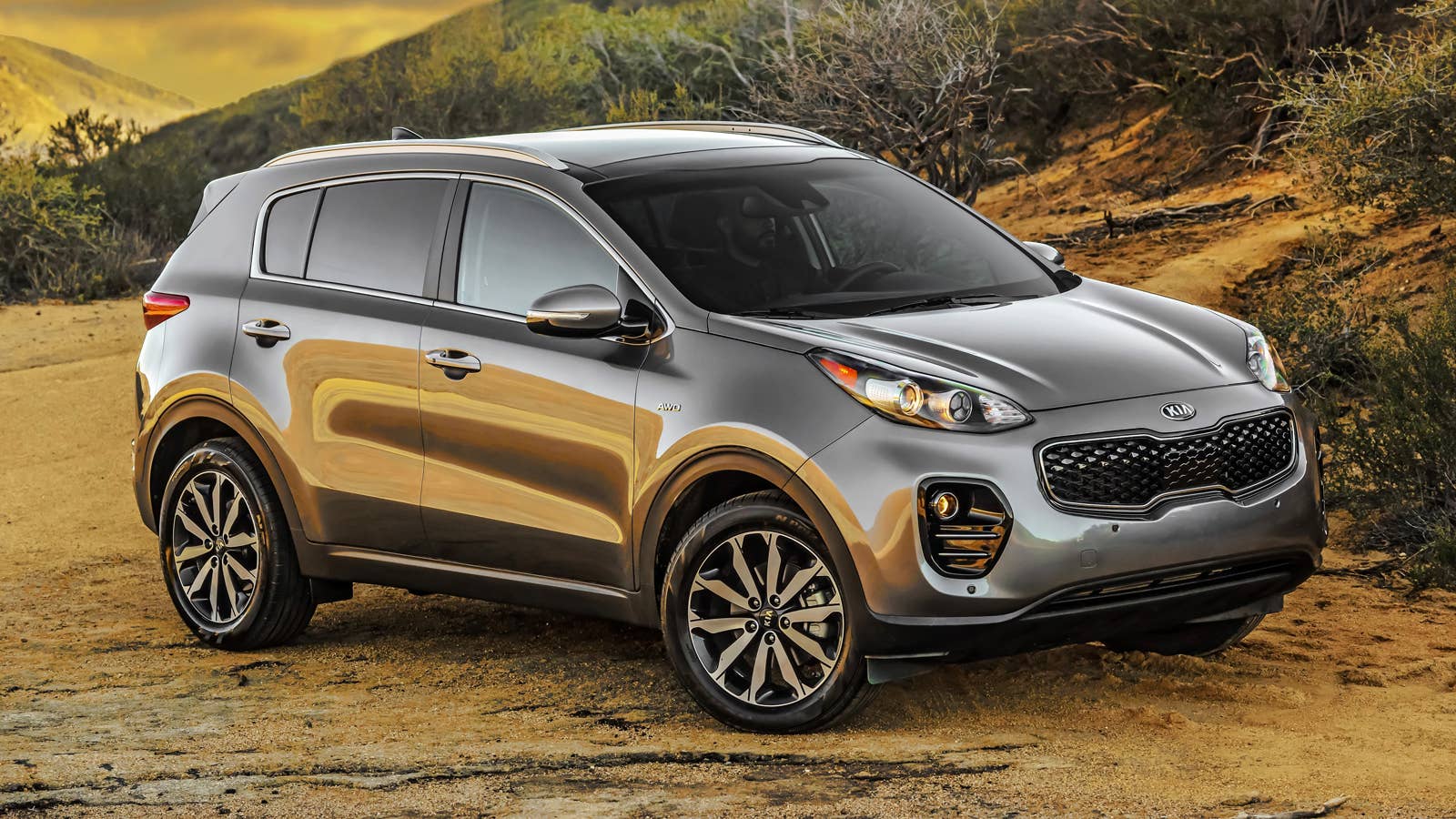 2019 Sportage