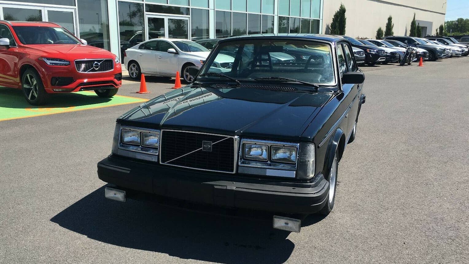 1981 Volvo 242 GLT Turbo