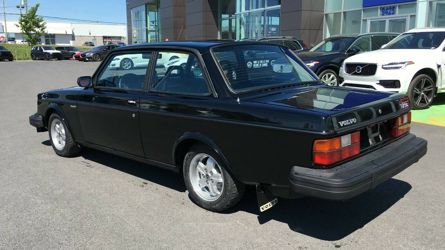 1981 Volvo 242 GLT Turbo