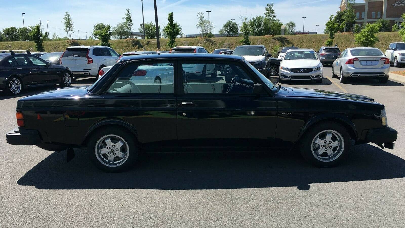 1981 Volvo 242 GLT Turbo