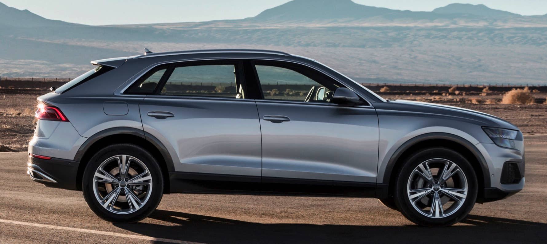 2019 Audi Q8 profile