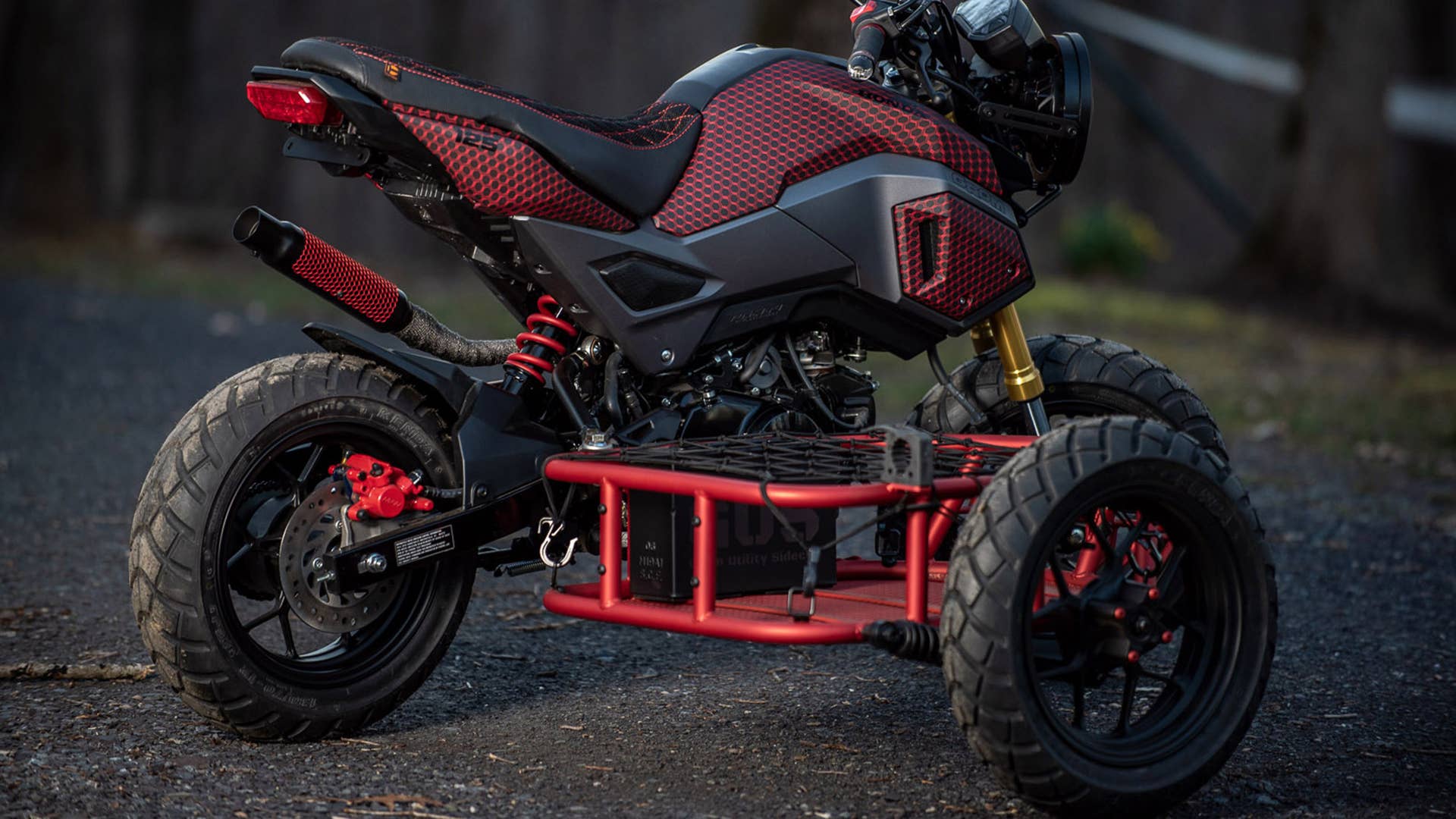 Honda Grom Sidecar