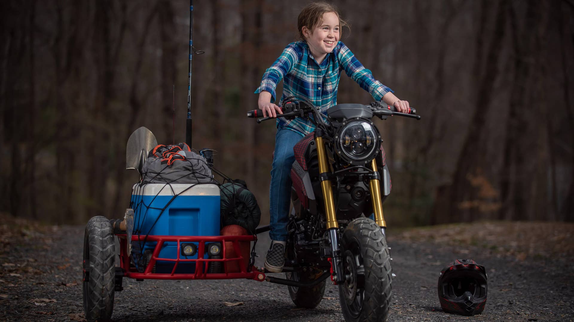 Honda Grom Sidecar
