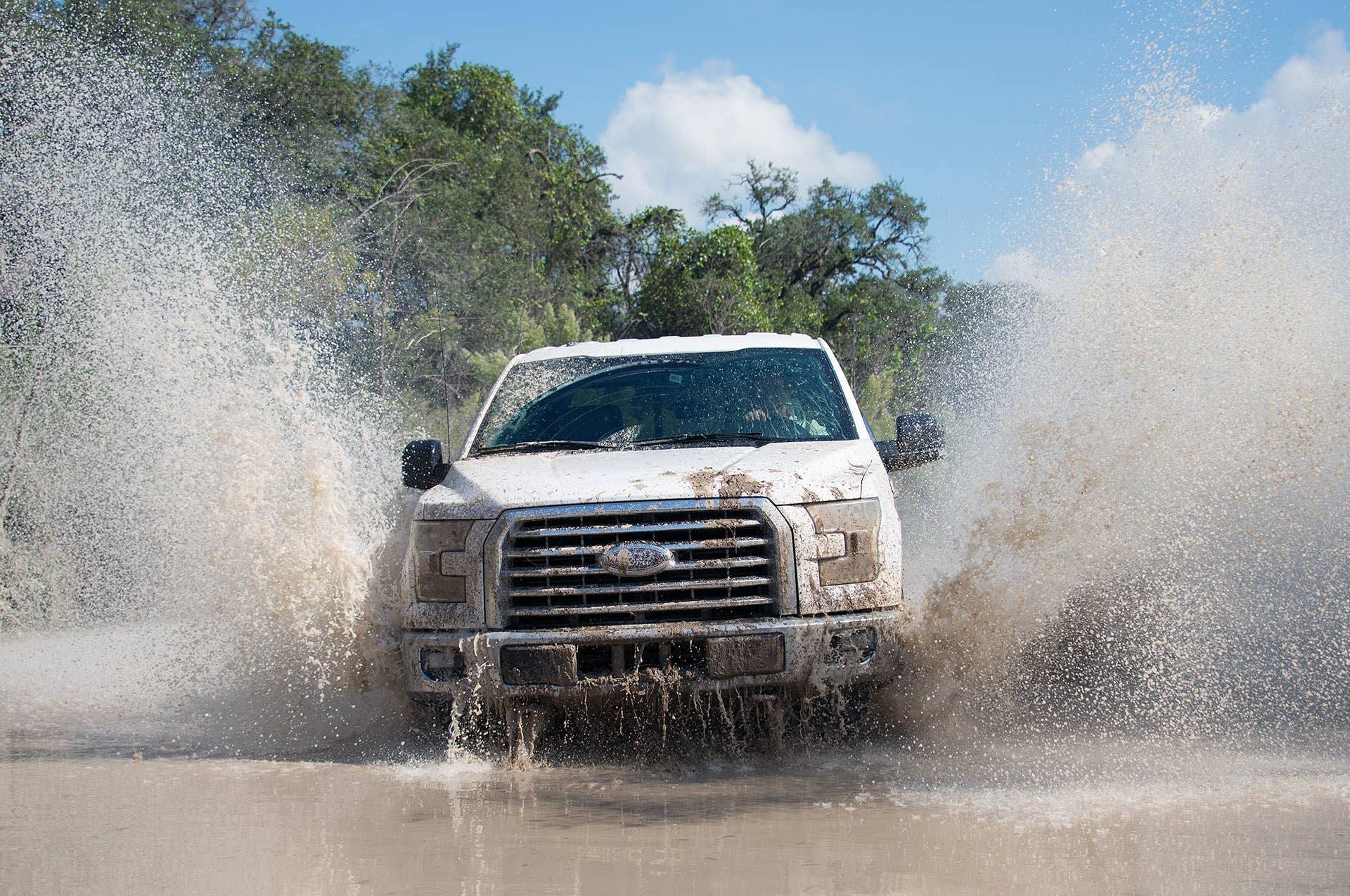 2015 Ford F-150 (view article) Photo copyright Michael Harley / AOL