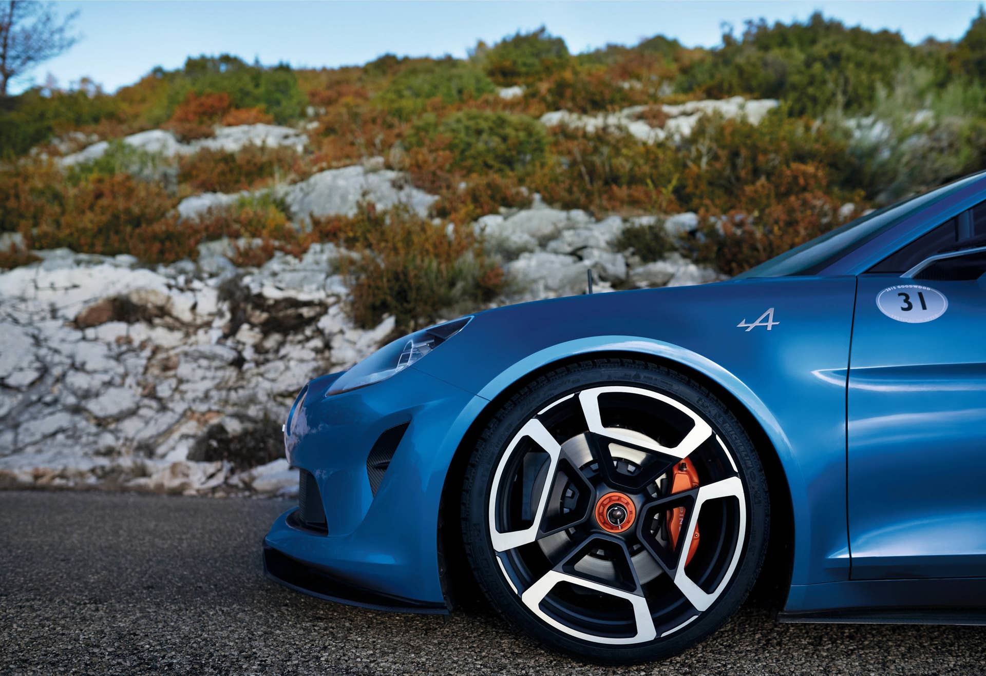 Alpine Vision location detail wheel