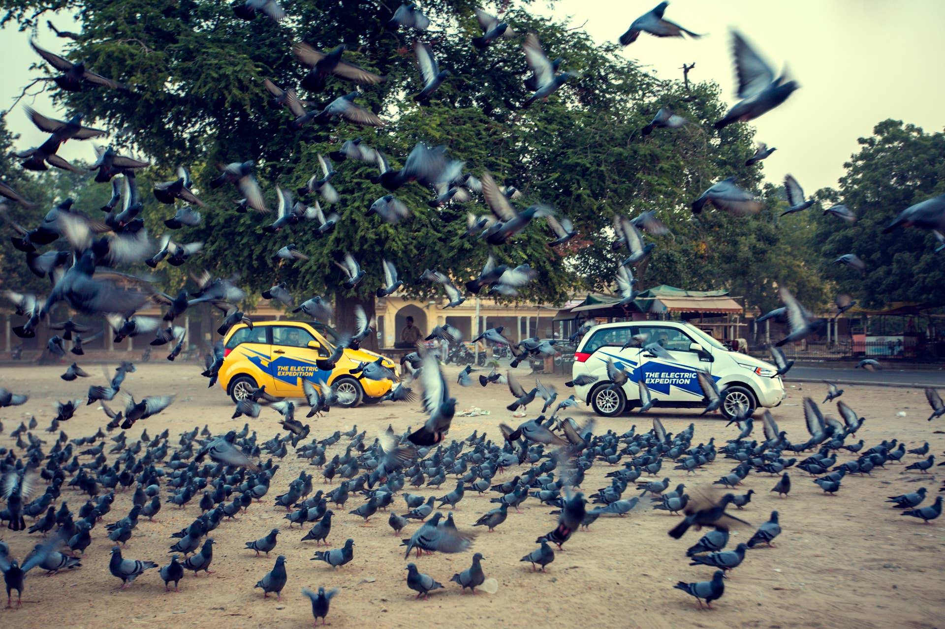 Two REVA EVs startle pigeons during the Mahindra Electric Expedition.