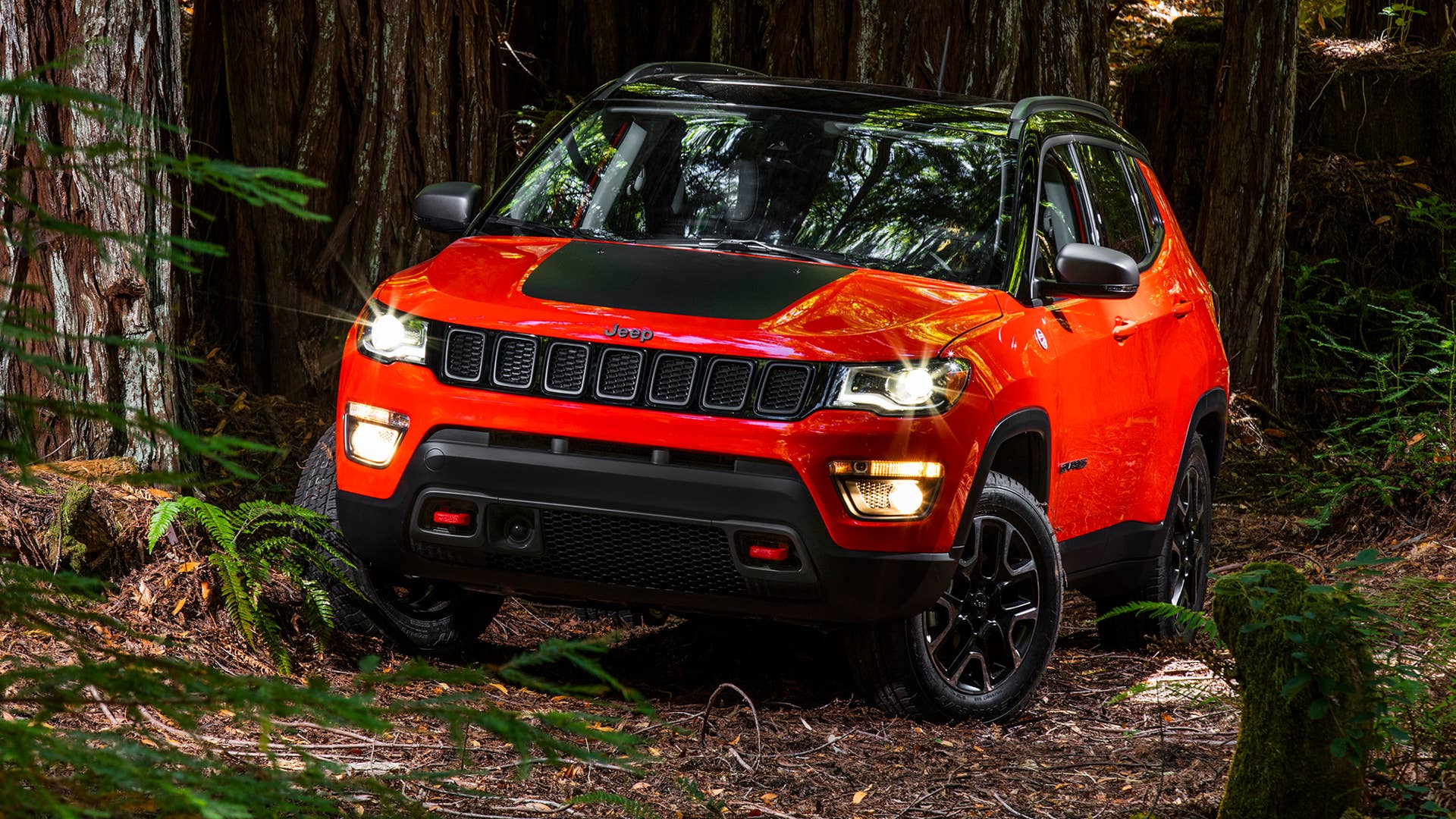 2017 Jeep Compass Rear
