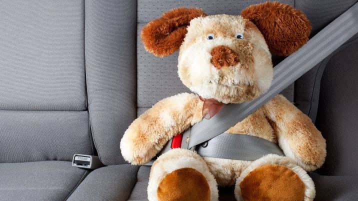 stuffed toy with seat belt...