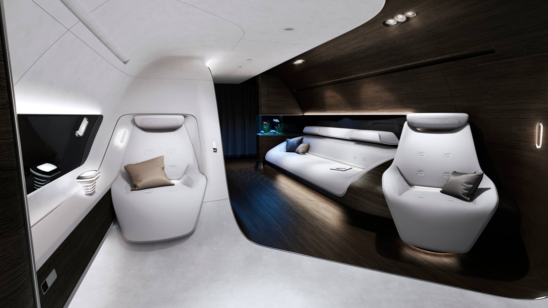 Private jet by Mercedes and Lufthansa