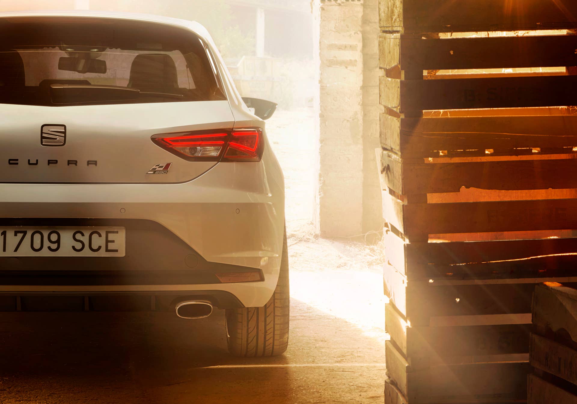 Seat Leon Cupra 290 rear detail