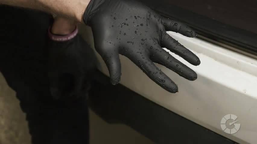 How To Remove Dog Hair From Car Interiors | Autoblog Details