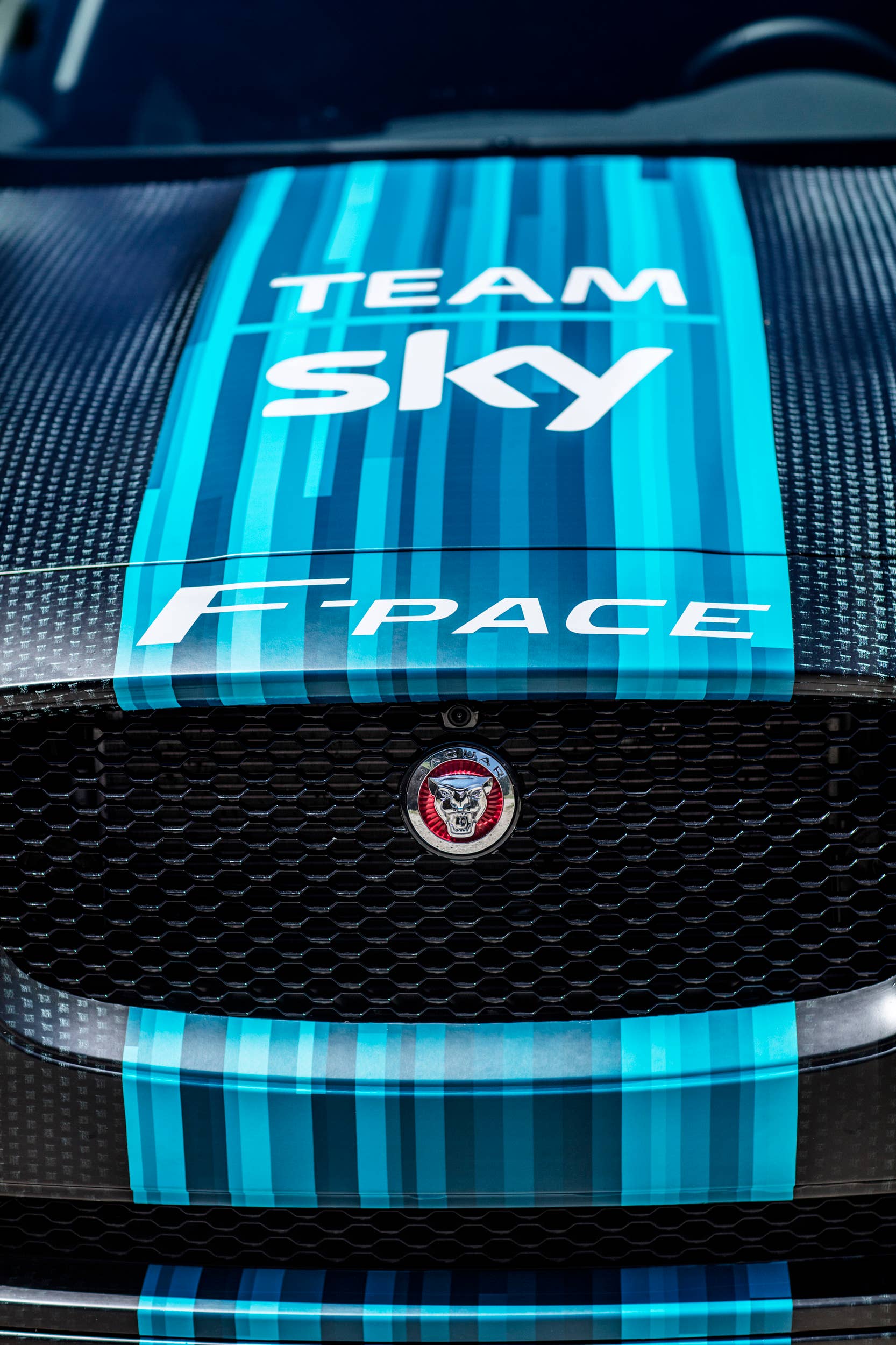 jaguar f-pace team sky grille camouflage