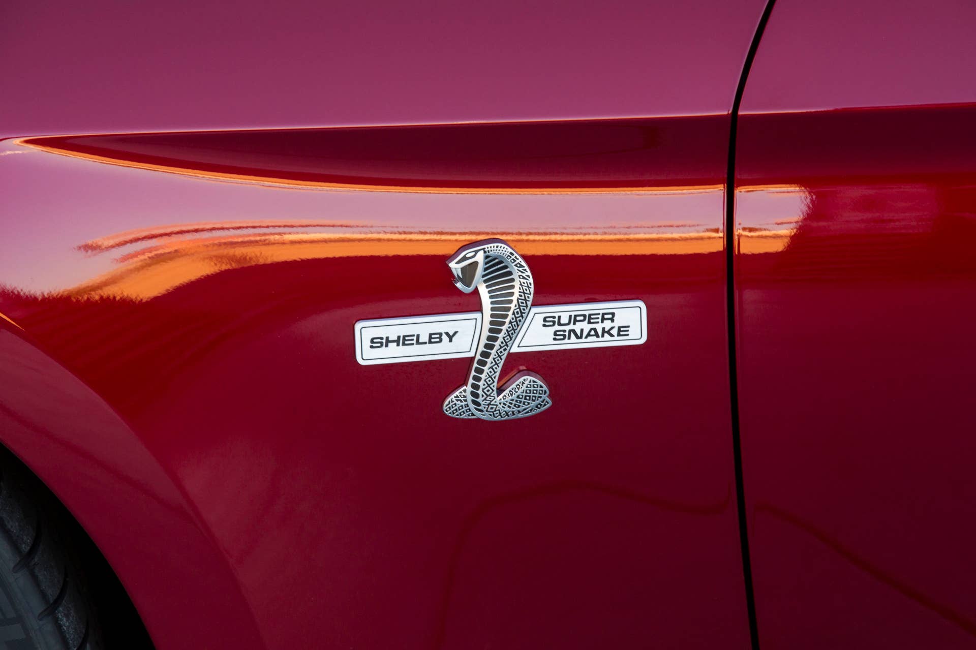 2015 Shelby Super Snake badge