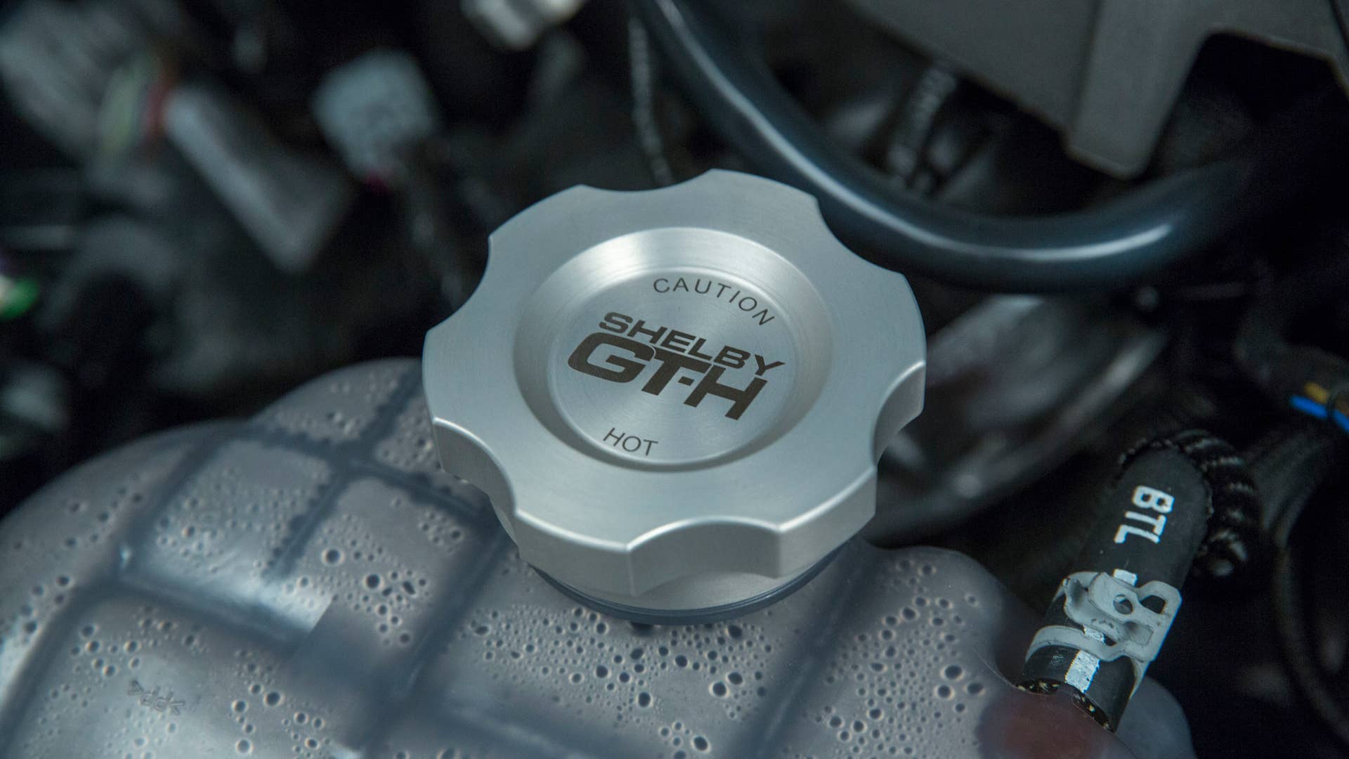 2016 ford shelby gt-h radiator cap