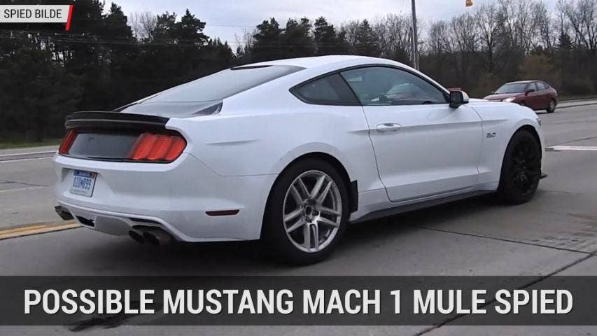 Ford Mustang Mach 1 Mule Spied | Autoblog Mintue