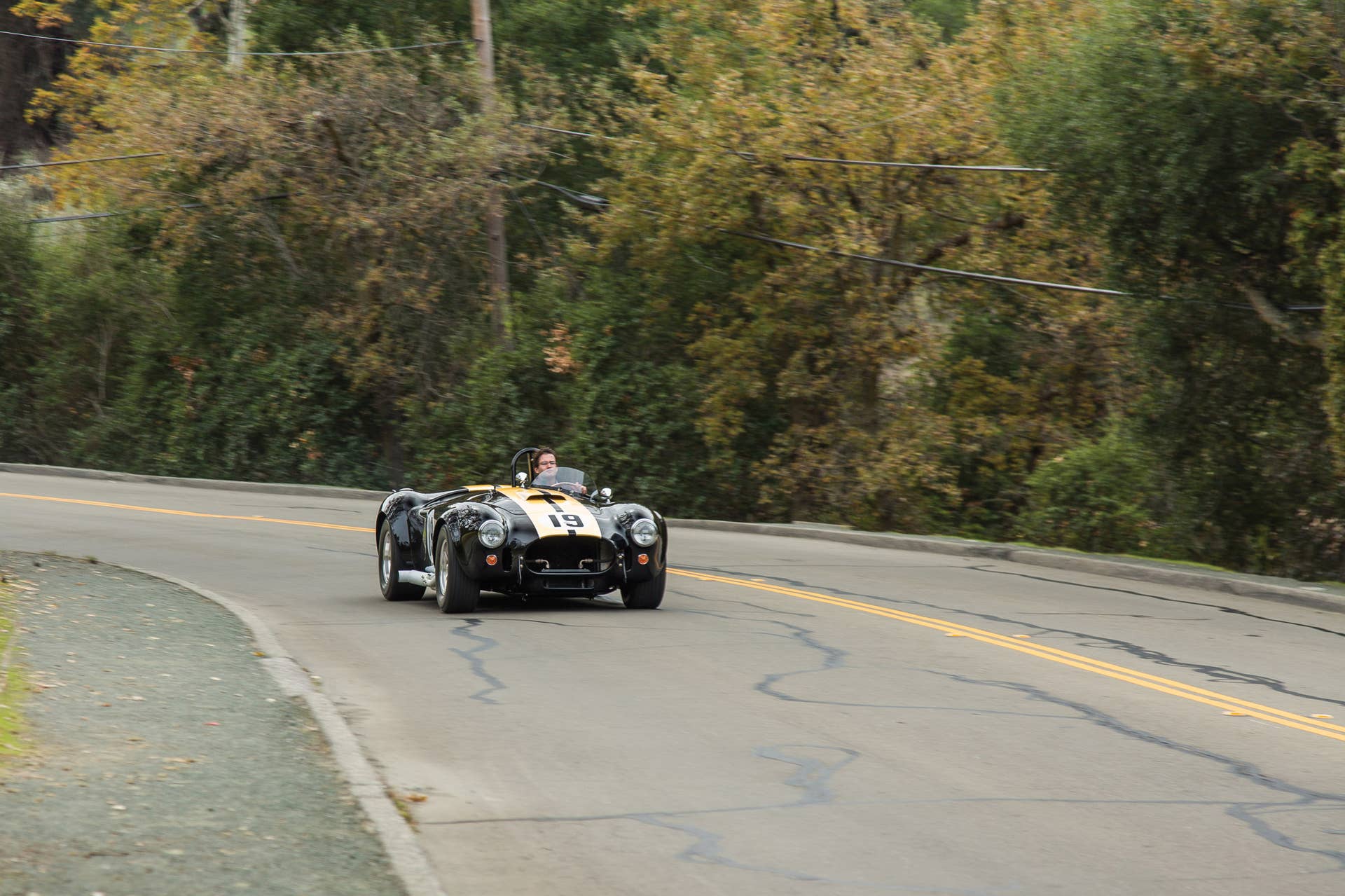 1965 Shelby 427 Competition Cobra driving