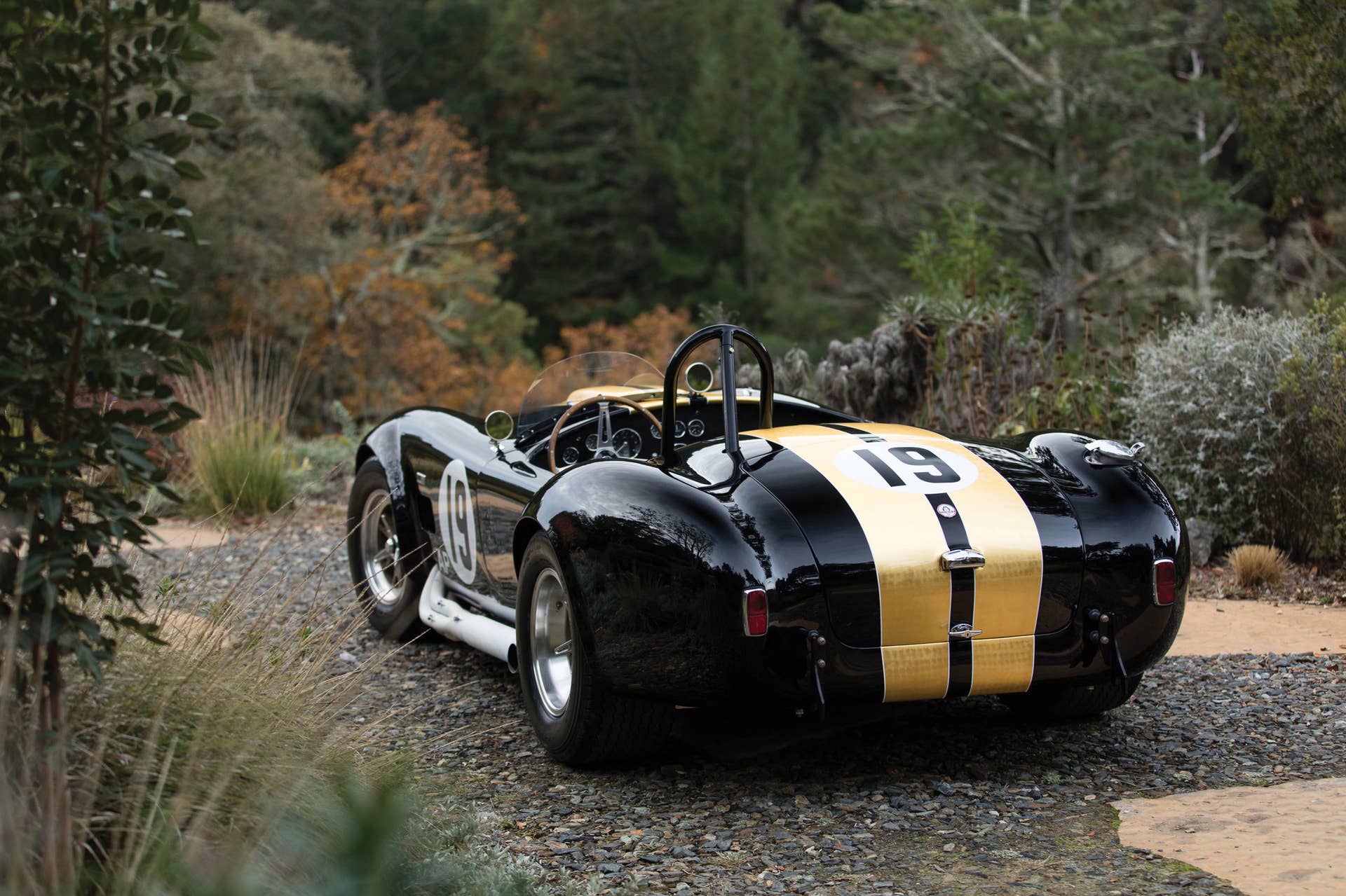 1965 Shelby 427 Competition Cobra rear 3/4