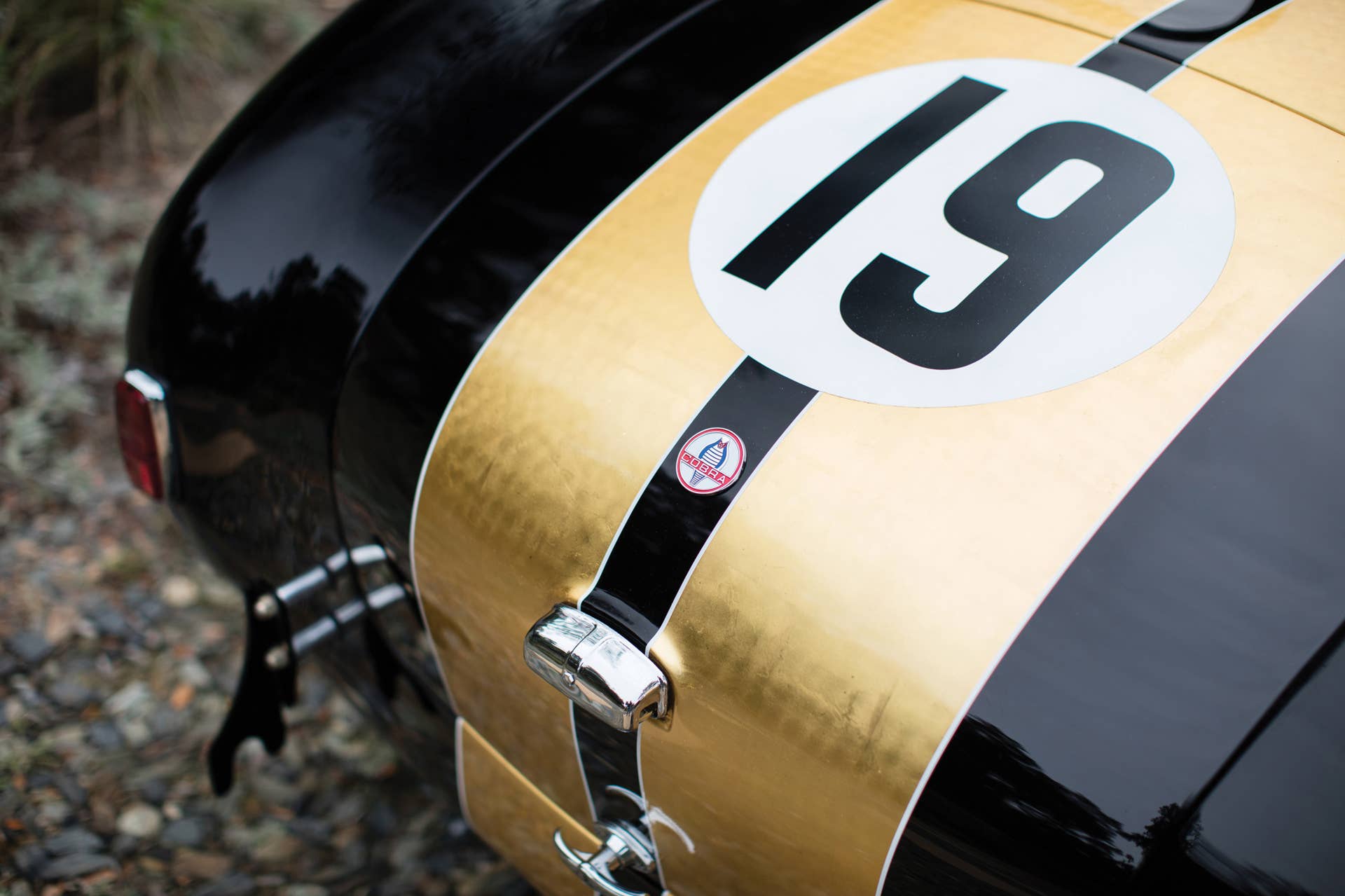 1965 Shelby 427 Competition Cobra rear detail