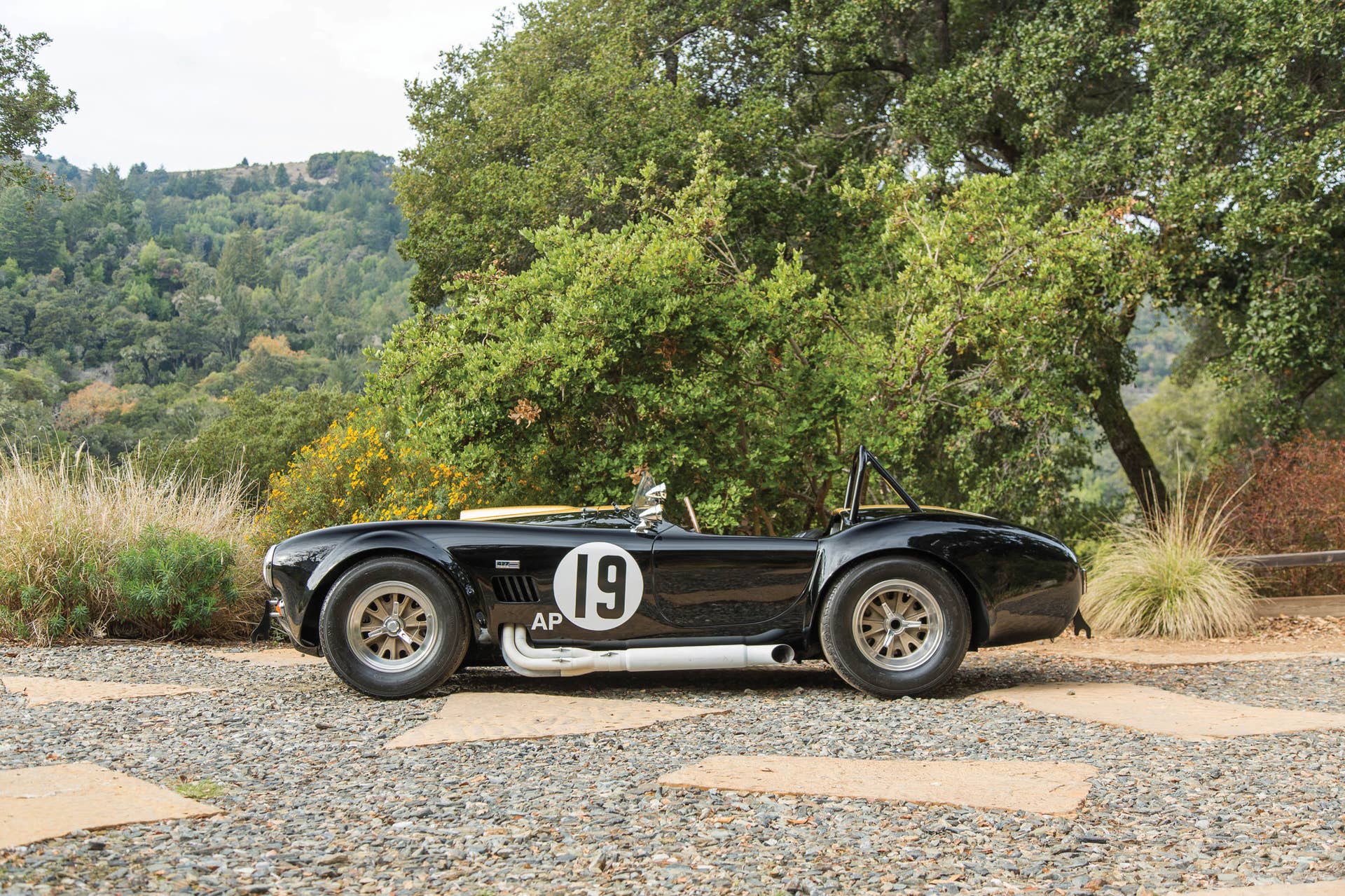 1965 Shelby 427 Competition Cobra profile
