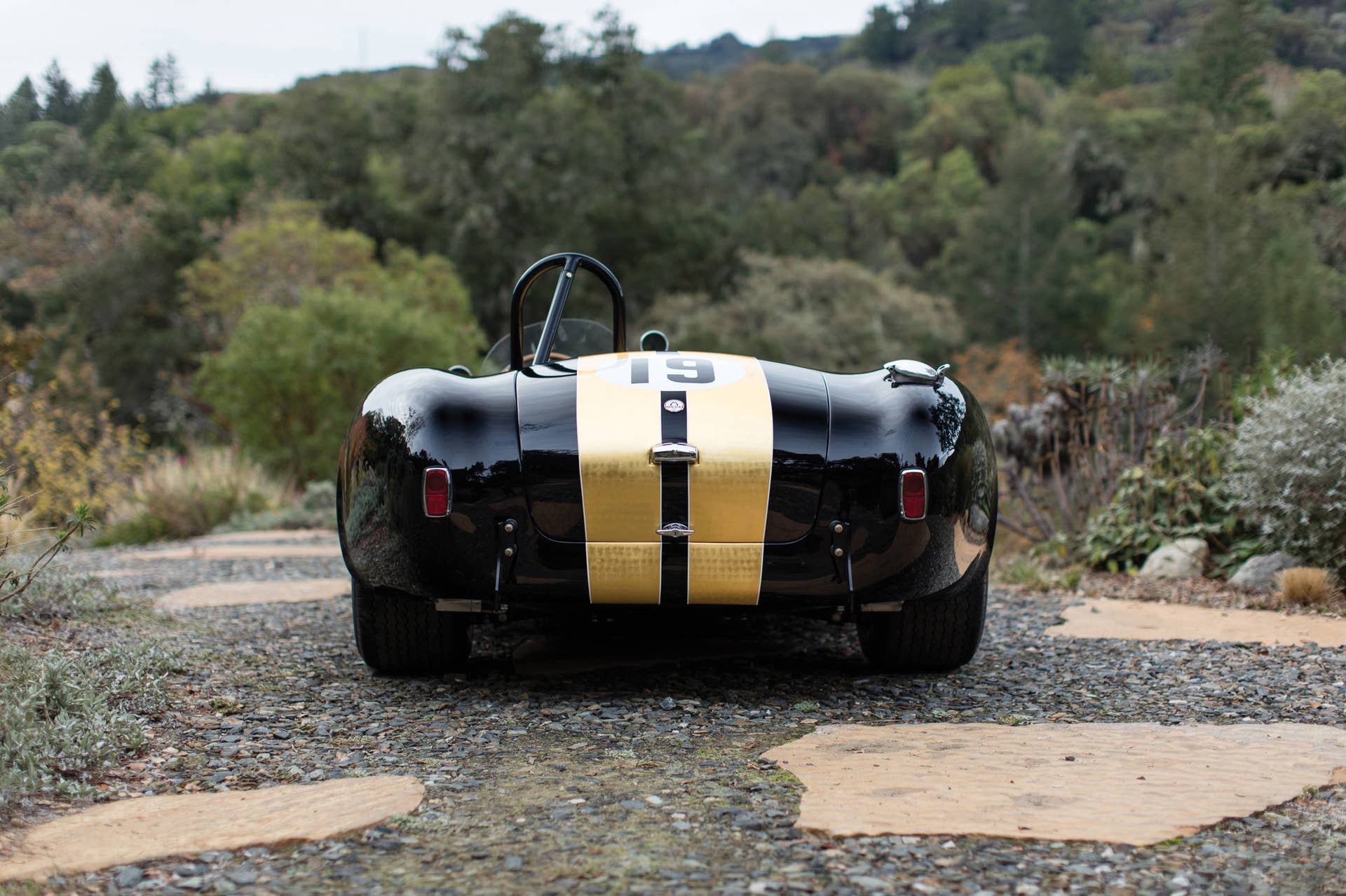 1965 Shelby 427 Competition Cobra rear