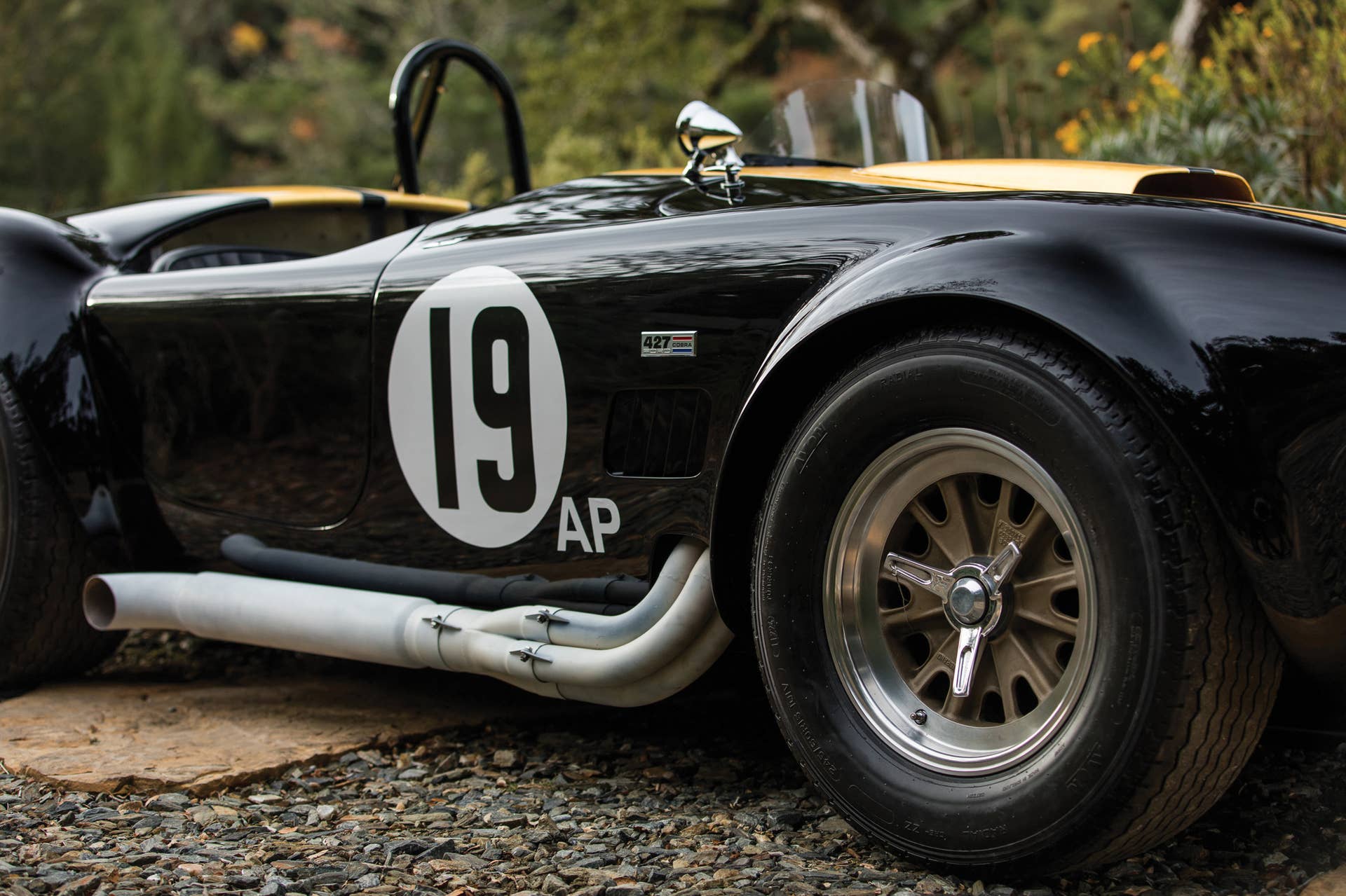1965 Shelby 427 Competition Cobra side detail