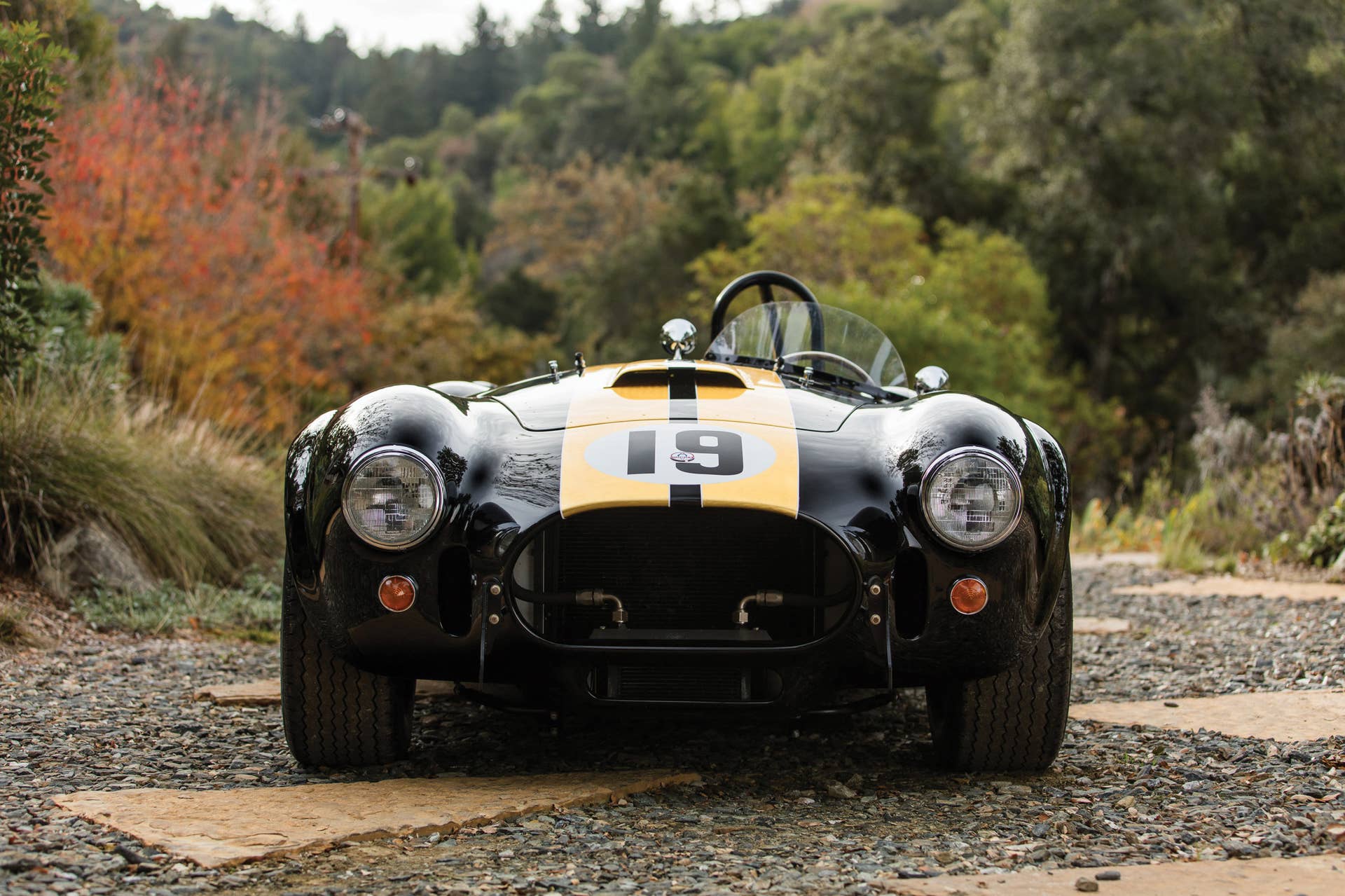 1965 Shelby 427 Competition Cobra front