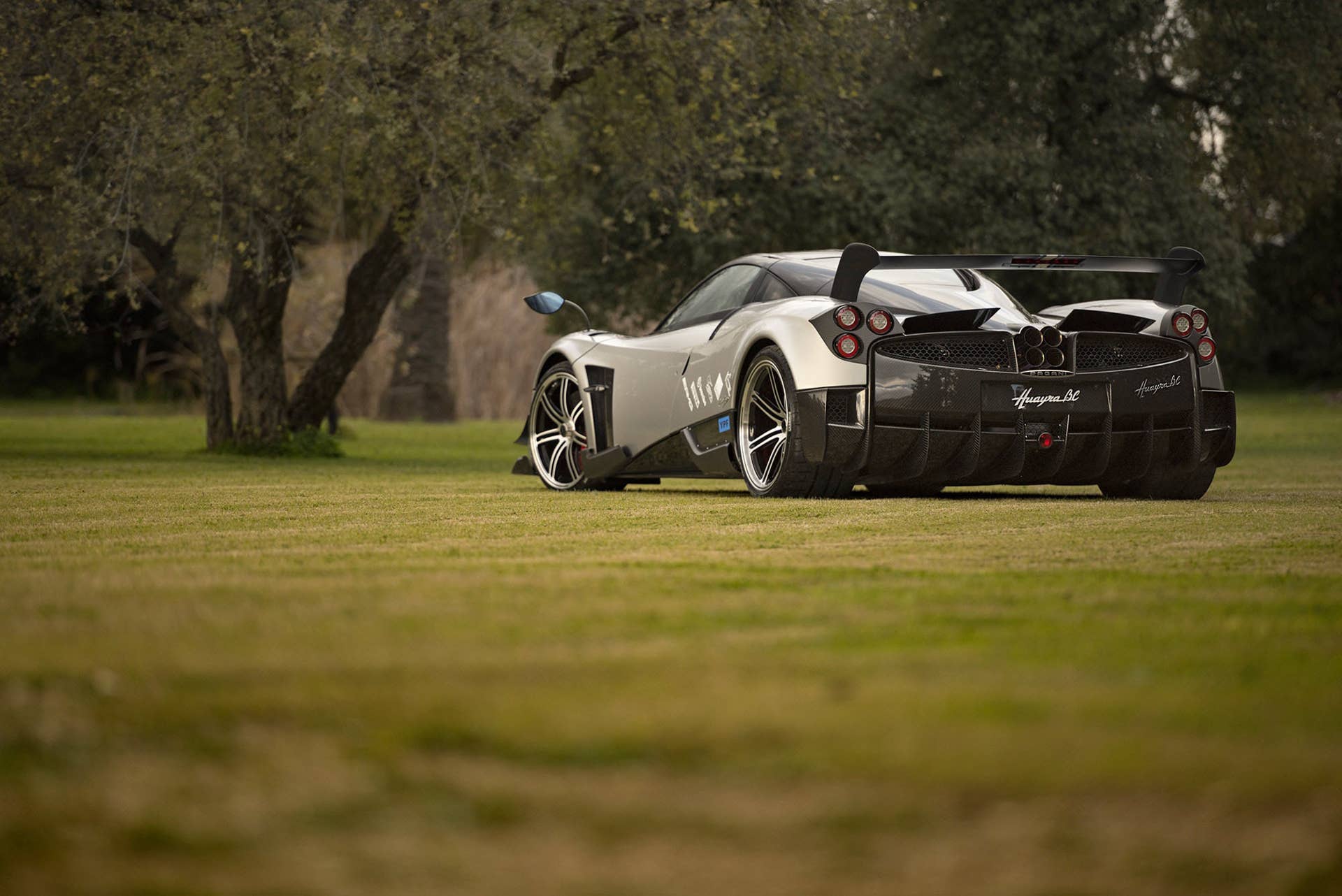 pagani huayra bc rear with tree
