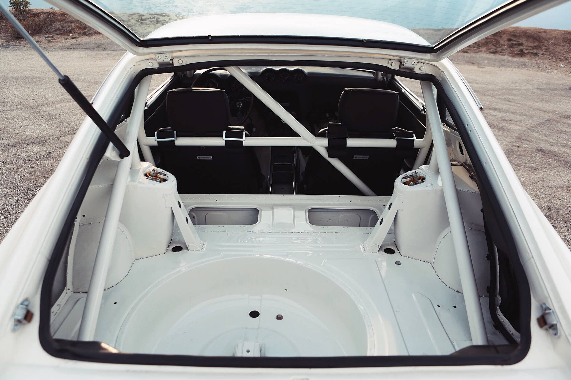 Fugu Z roll cage