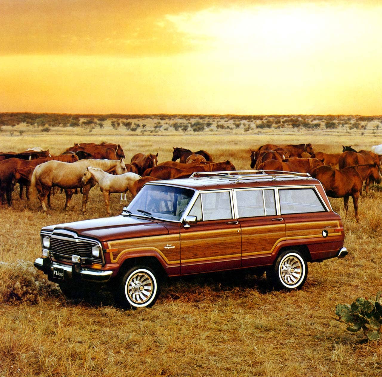 1984 Jeep Grand Wagoneer