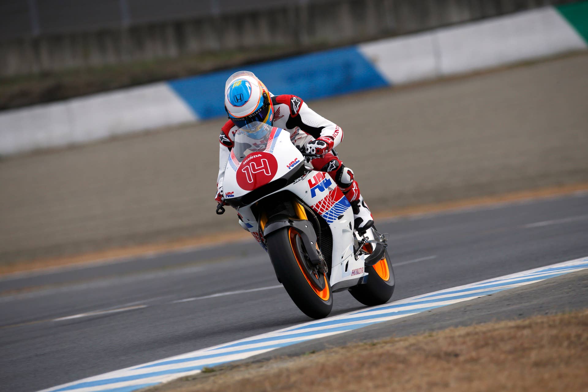 Fernando Alonso MotoGP
