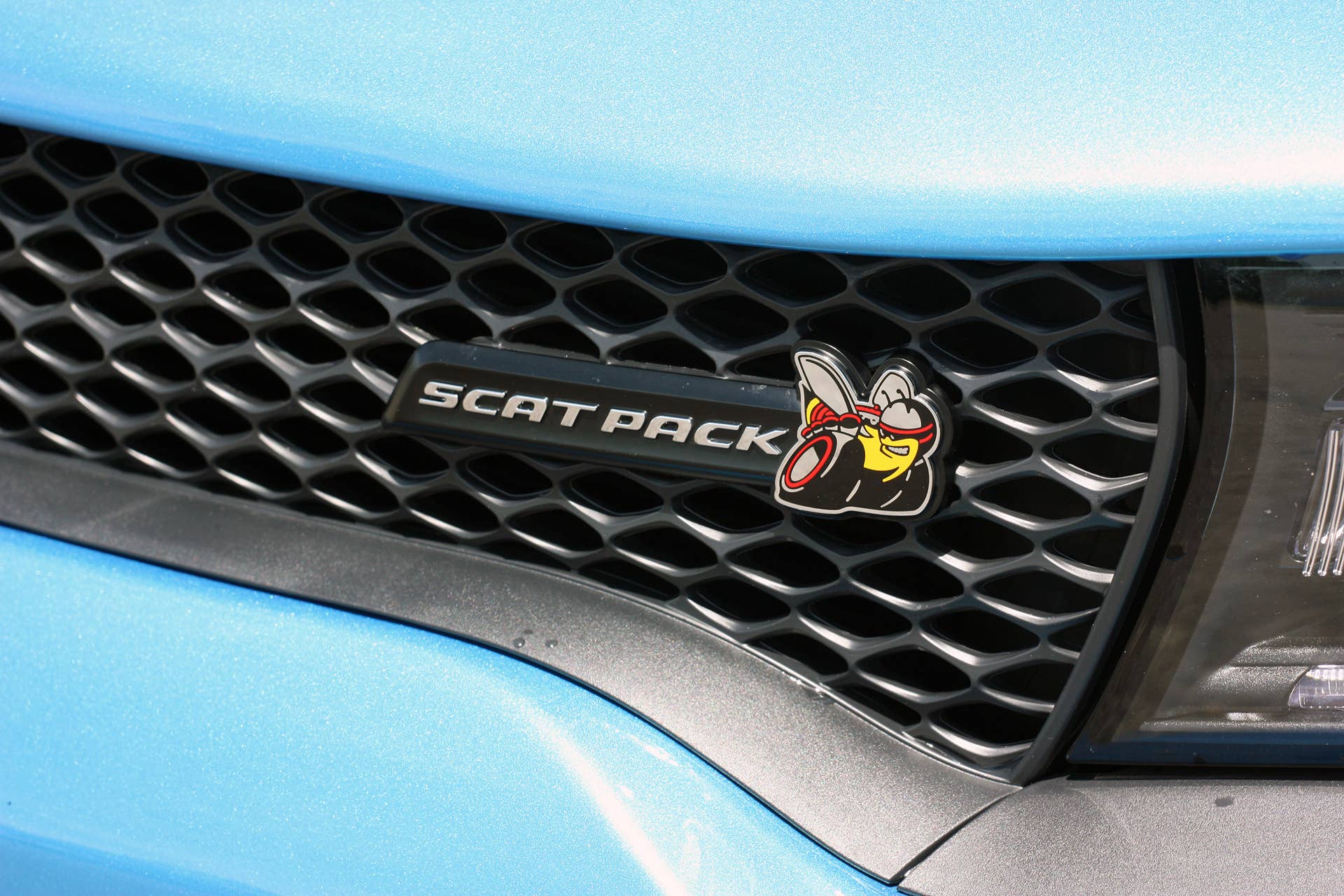2015 Dodge Charger R/T Scat Pack grille