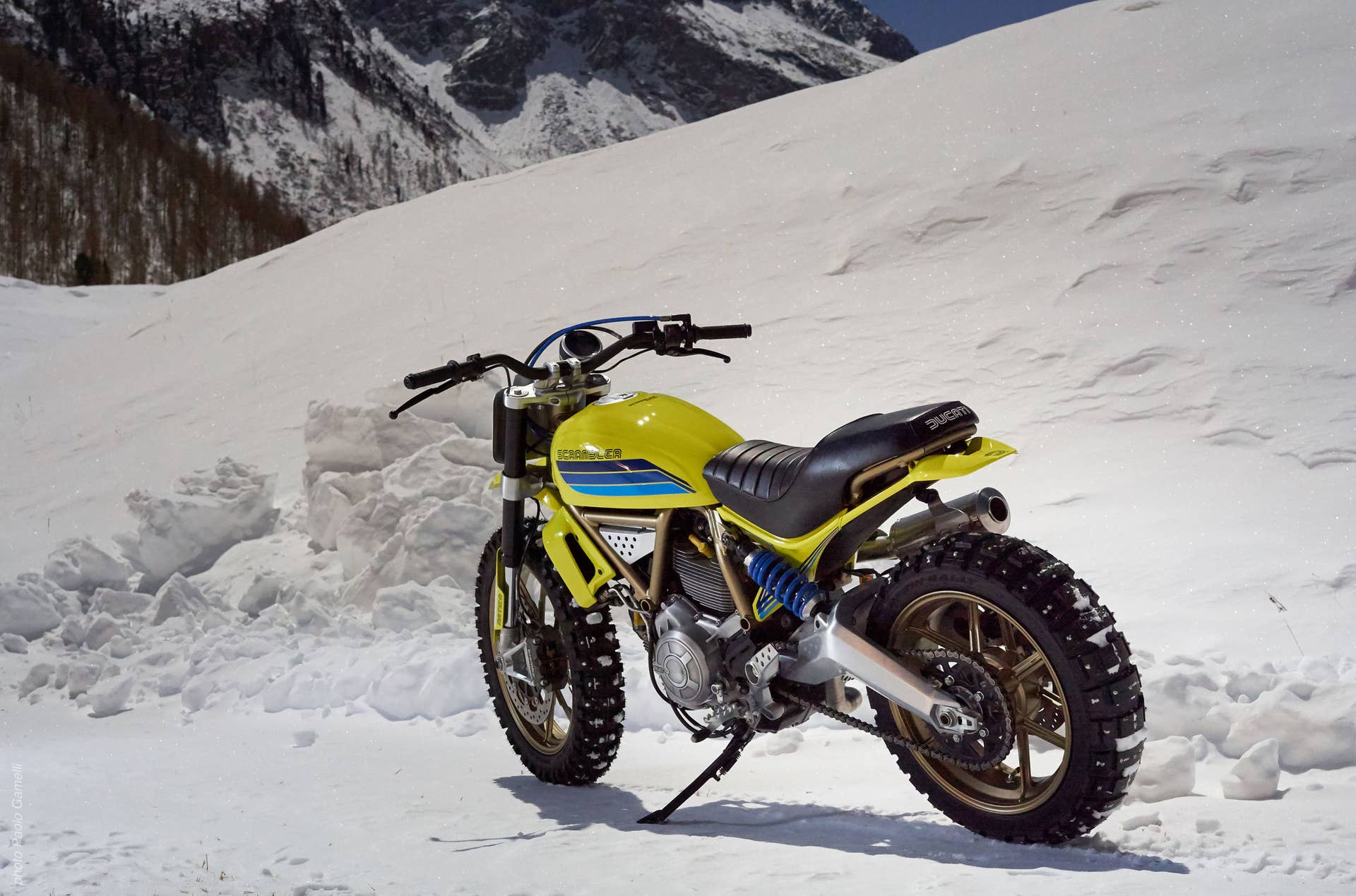 ducati scrambler artika rear three quarters