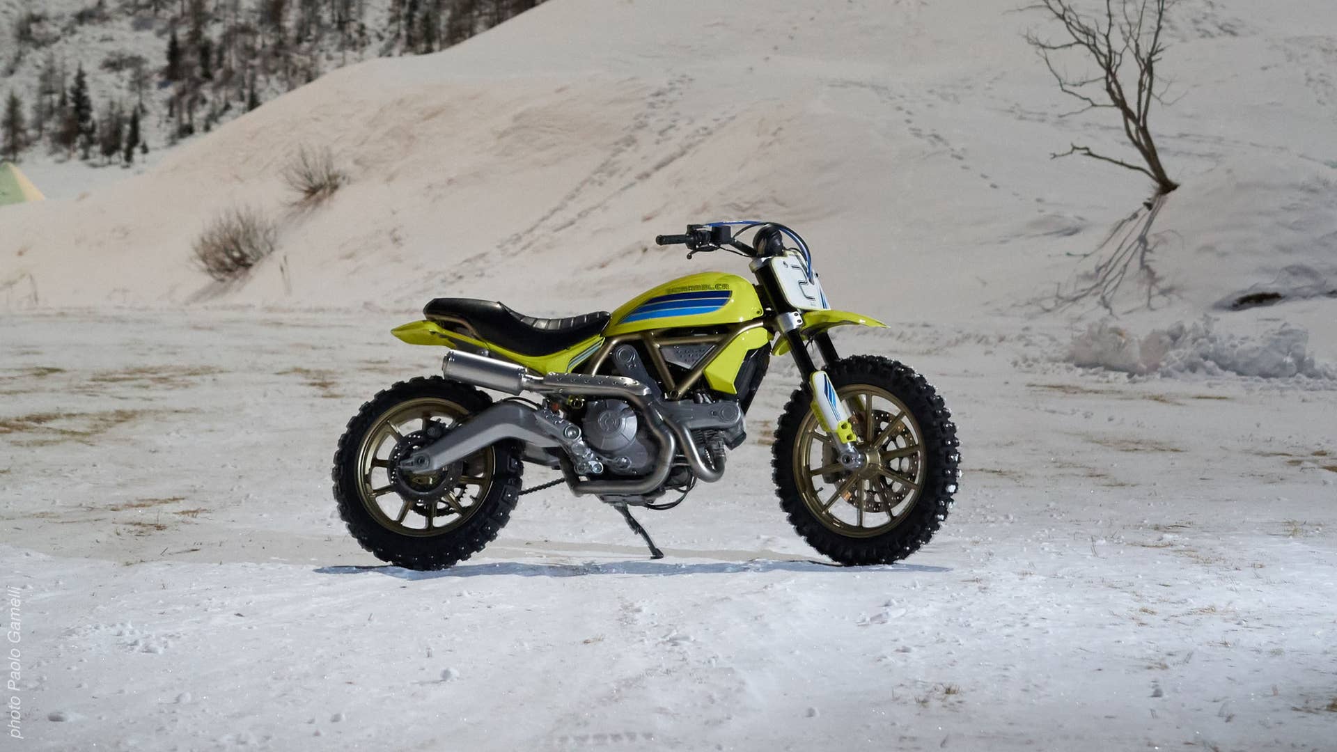 ducati scrambler artika profile