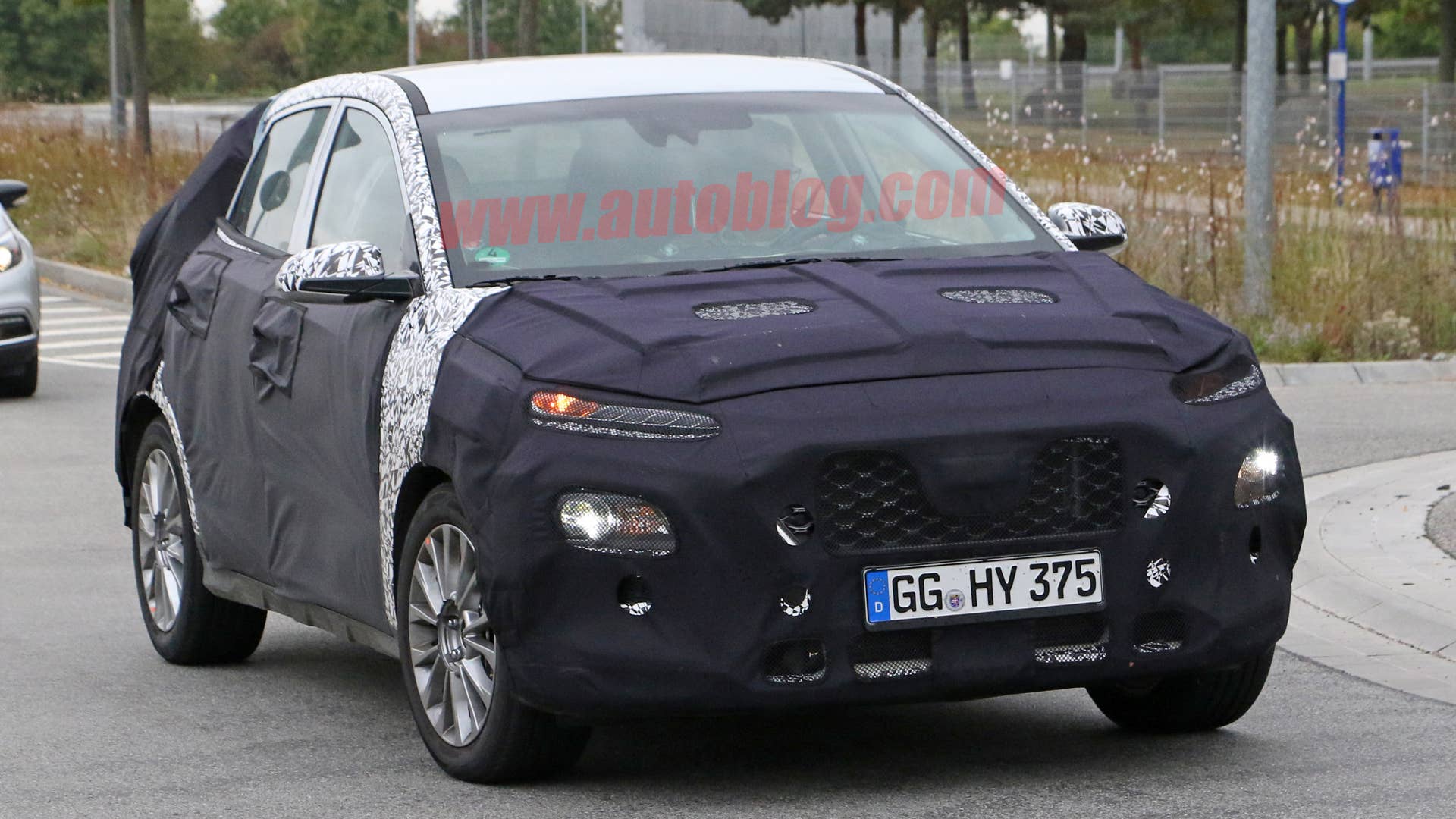Hyundai SUV Spy Shots Front End Exterior