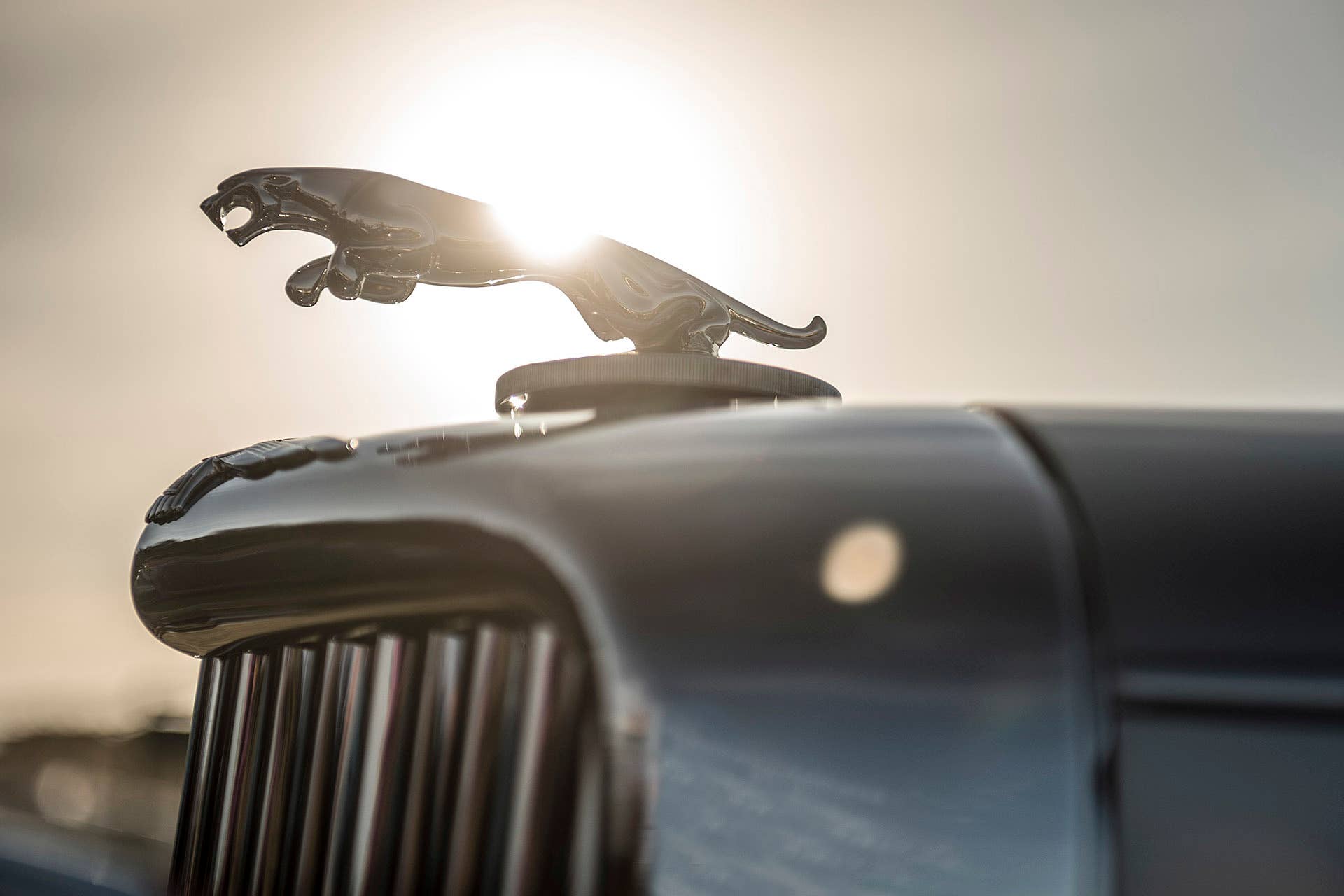 2015 Pebble Beach Concours d'Elegance